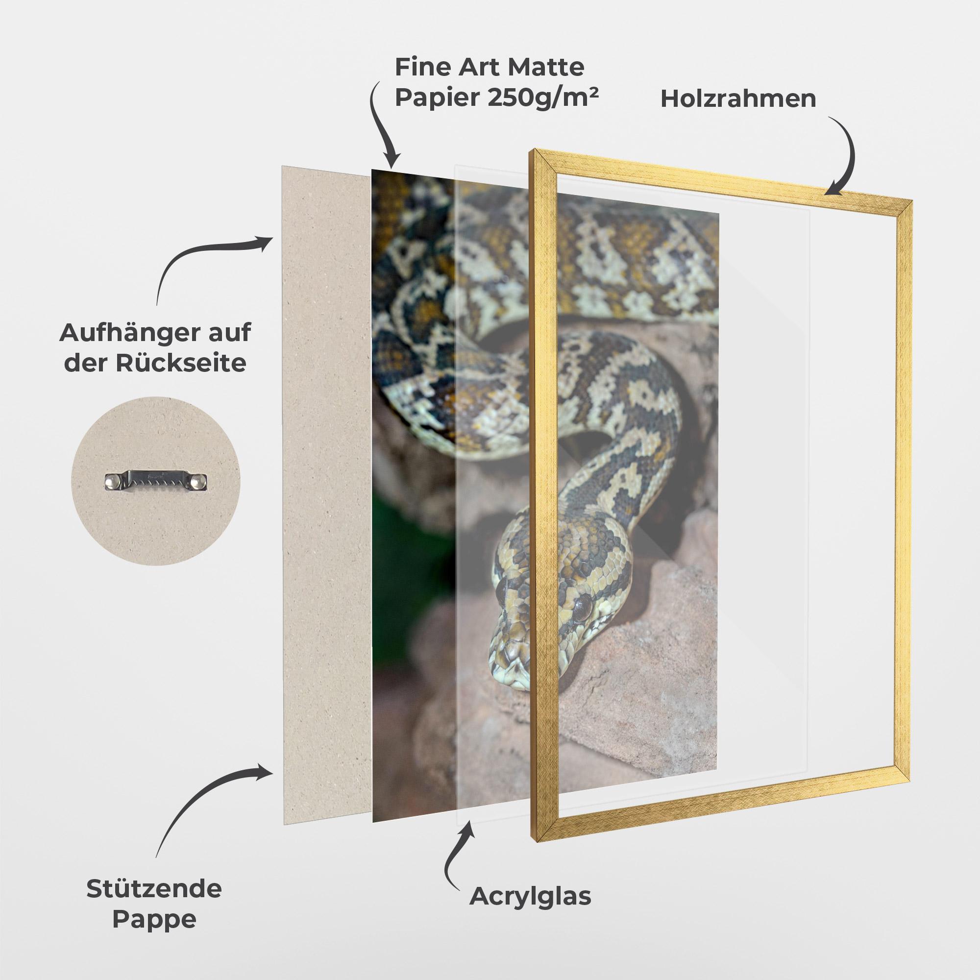 Gerahmte Poster King Snake mockup 1