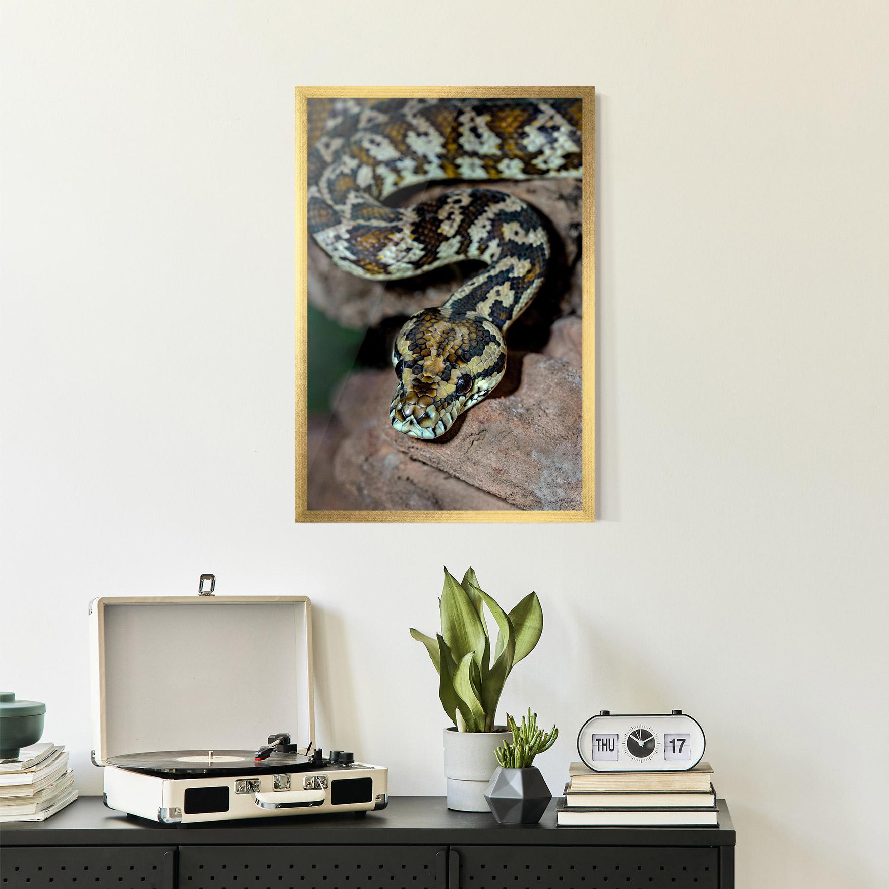 Gerahmte Poster King Snake mockup 2