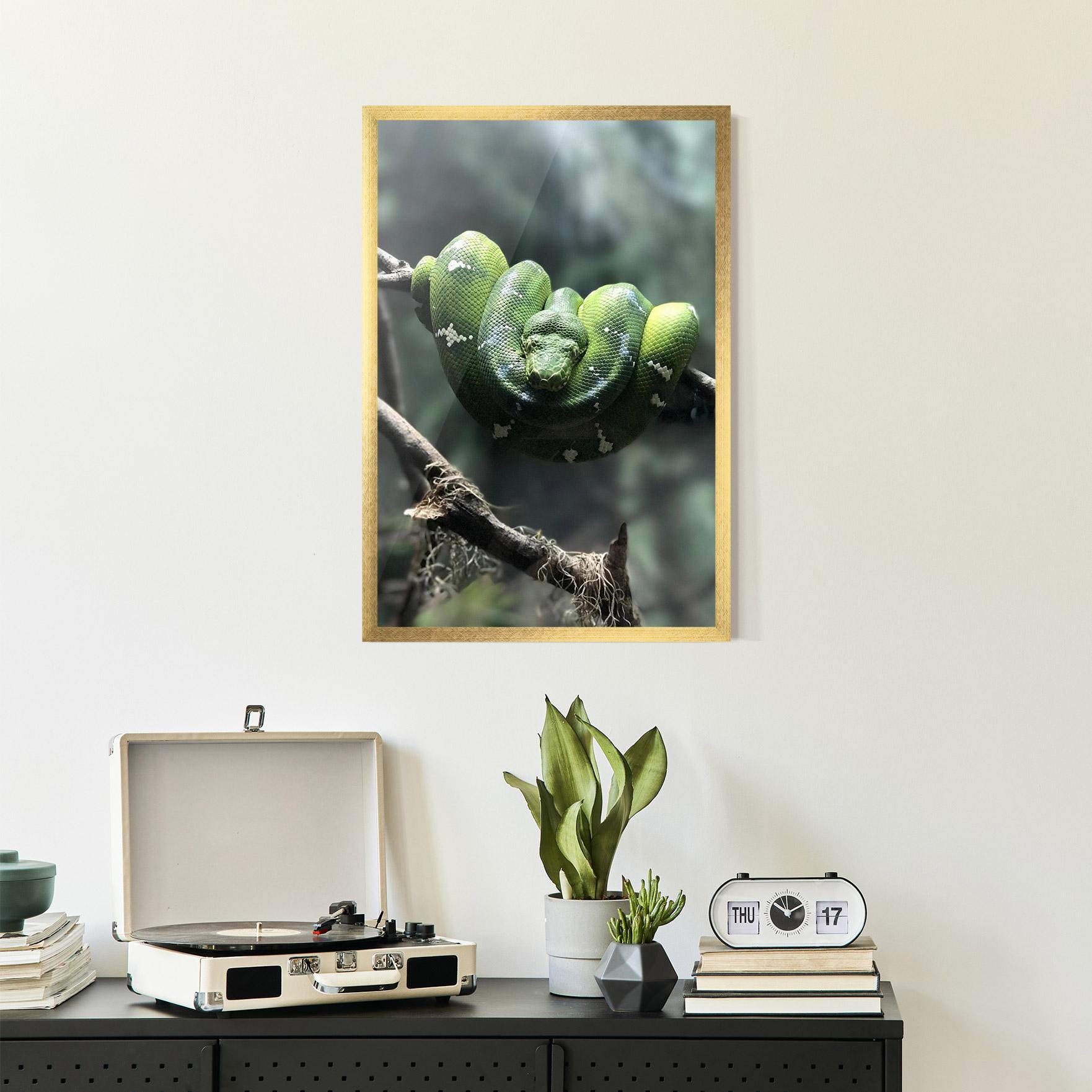 Gerahmte Poster Sleepy Snake mockup 2