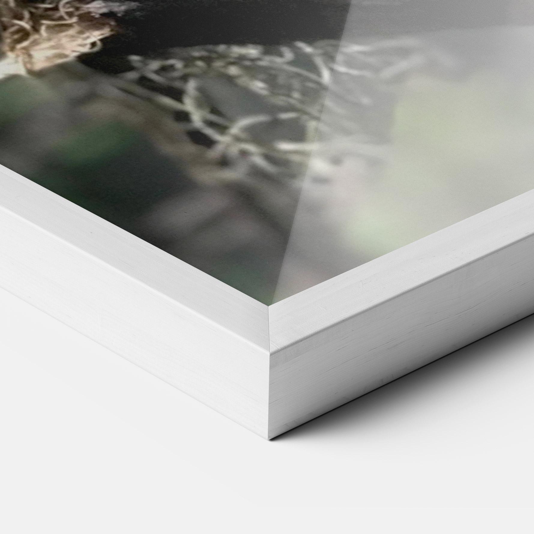 Gerahmte Poster Sleepy Snake mockup 3