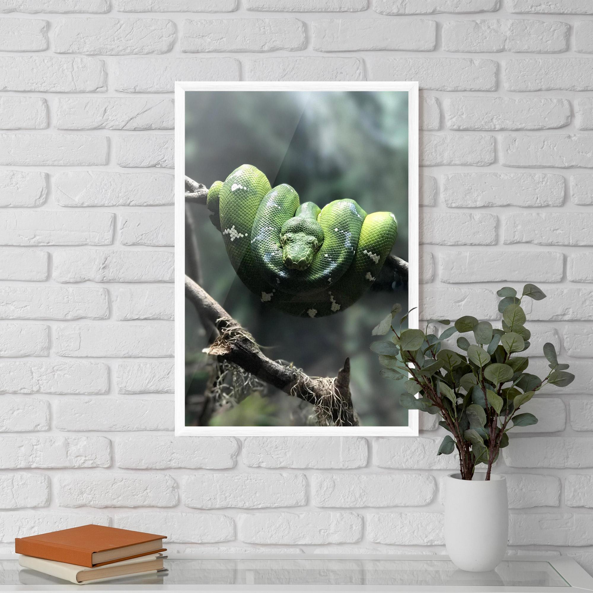 Gerahmte Poster Sleepy Snake mockup 5