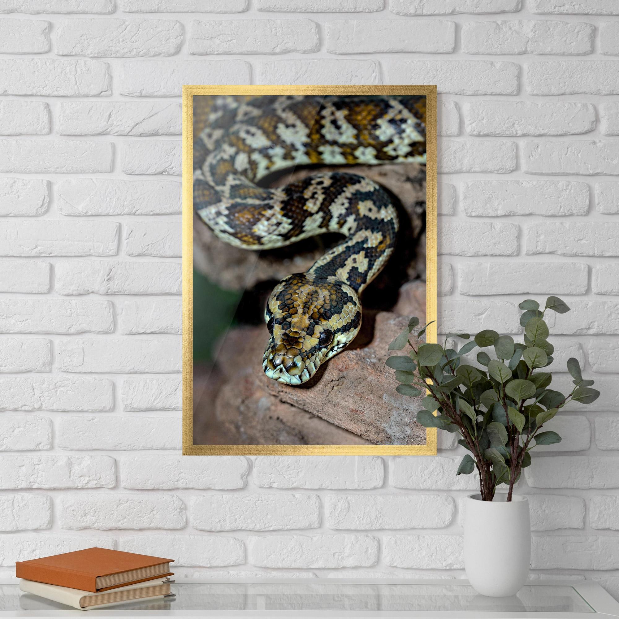 Gerahmte Poster King Snake mockup 5