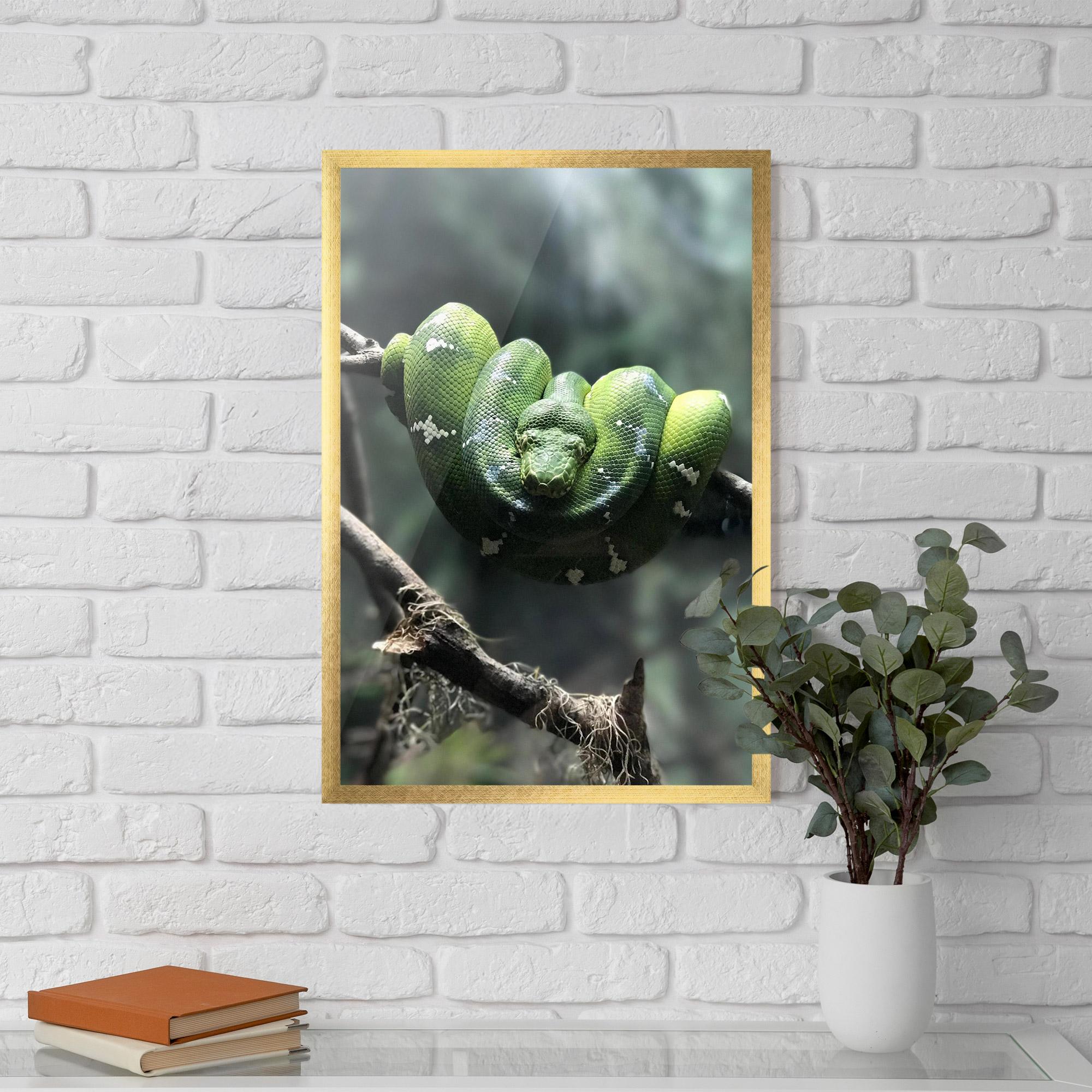 Gerahmte Poster Sleepy Snake mockup 5