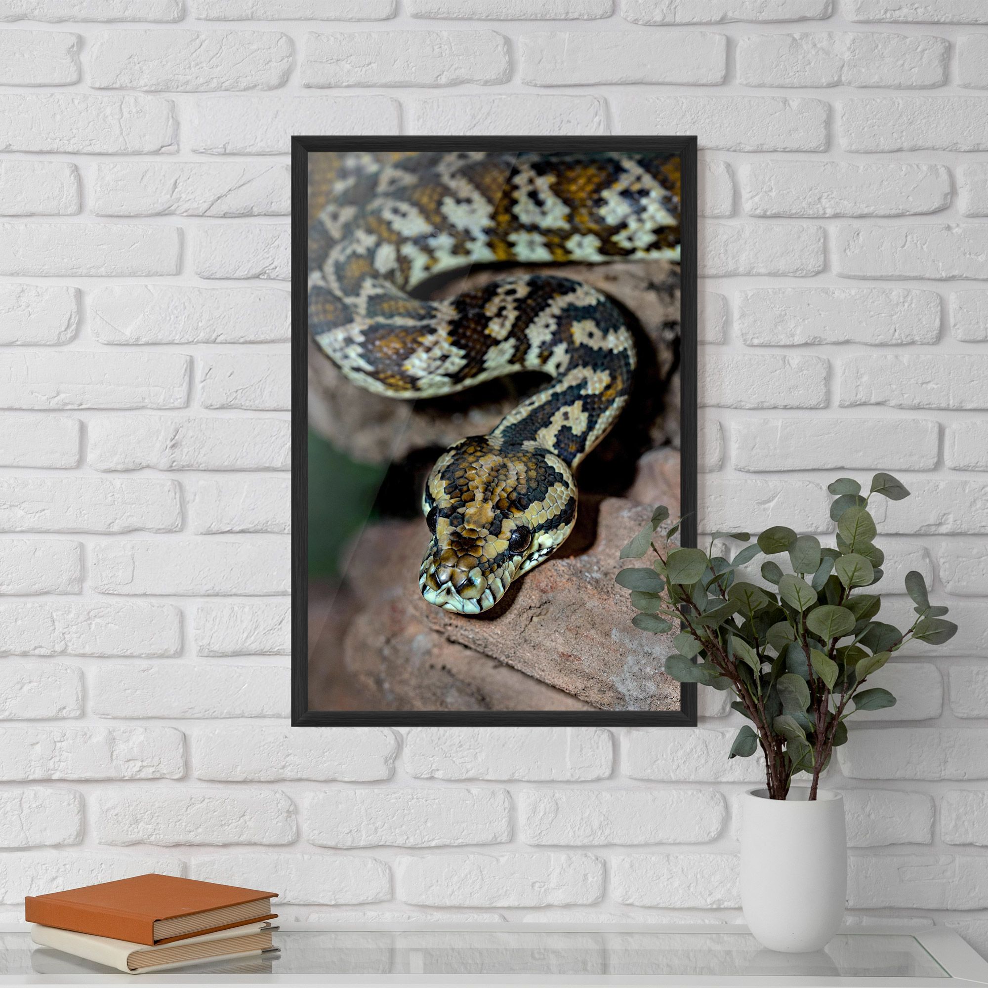 King Snake mockup 5