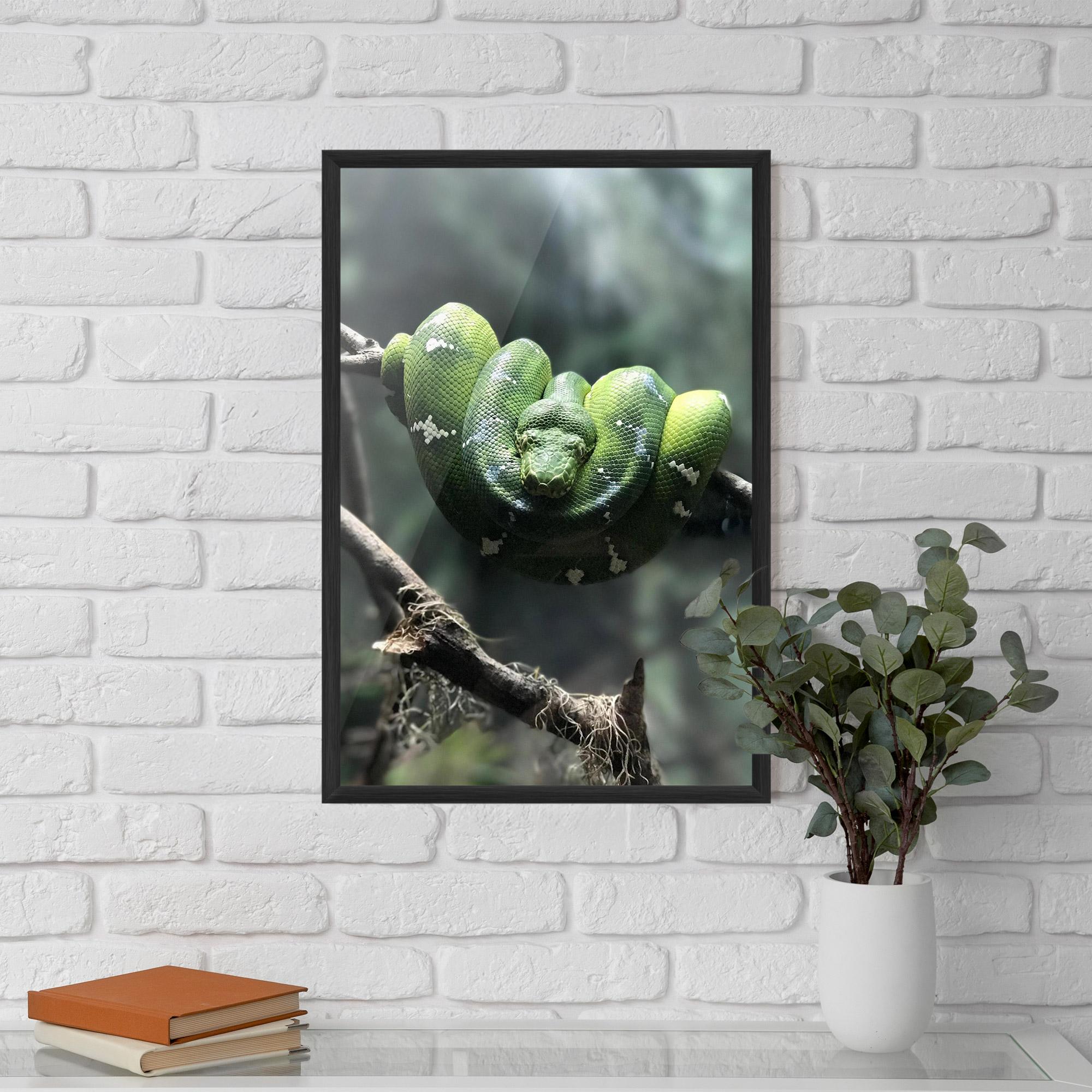 Gerahmte Poster Sleepy Snake mockup 5