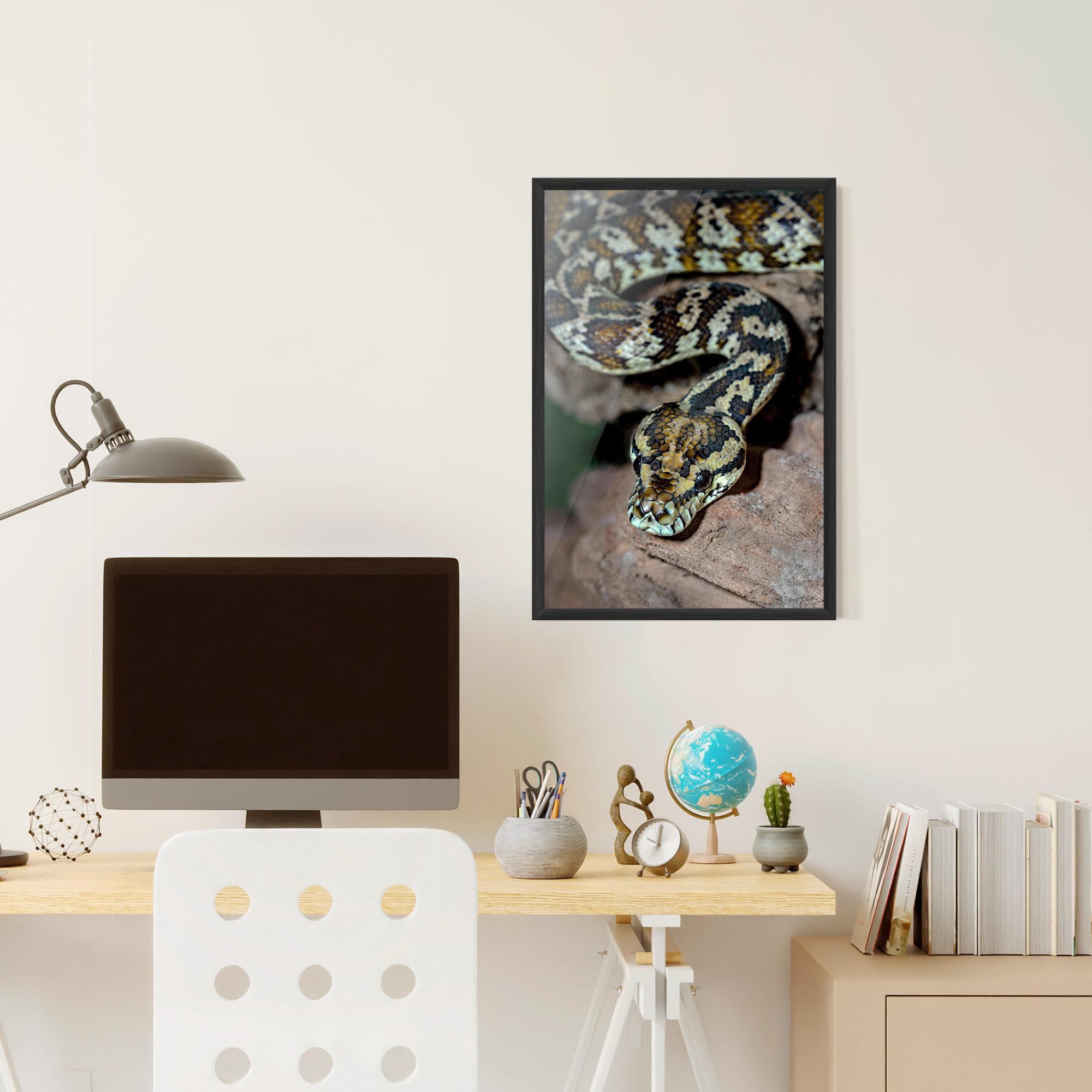 Gerahmte Poster King Snake mockup 6