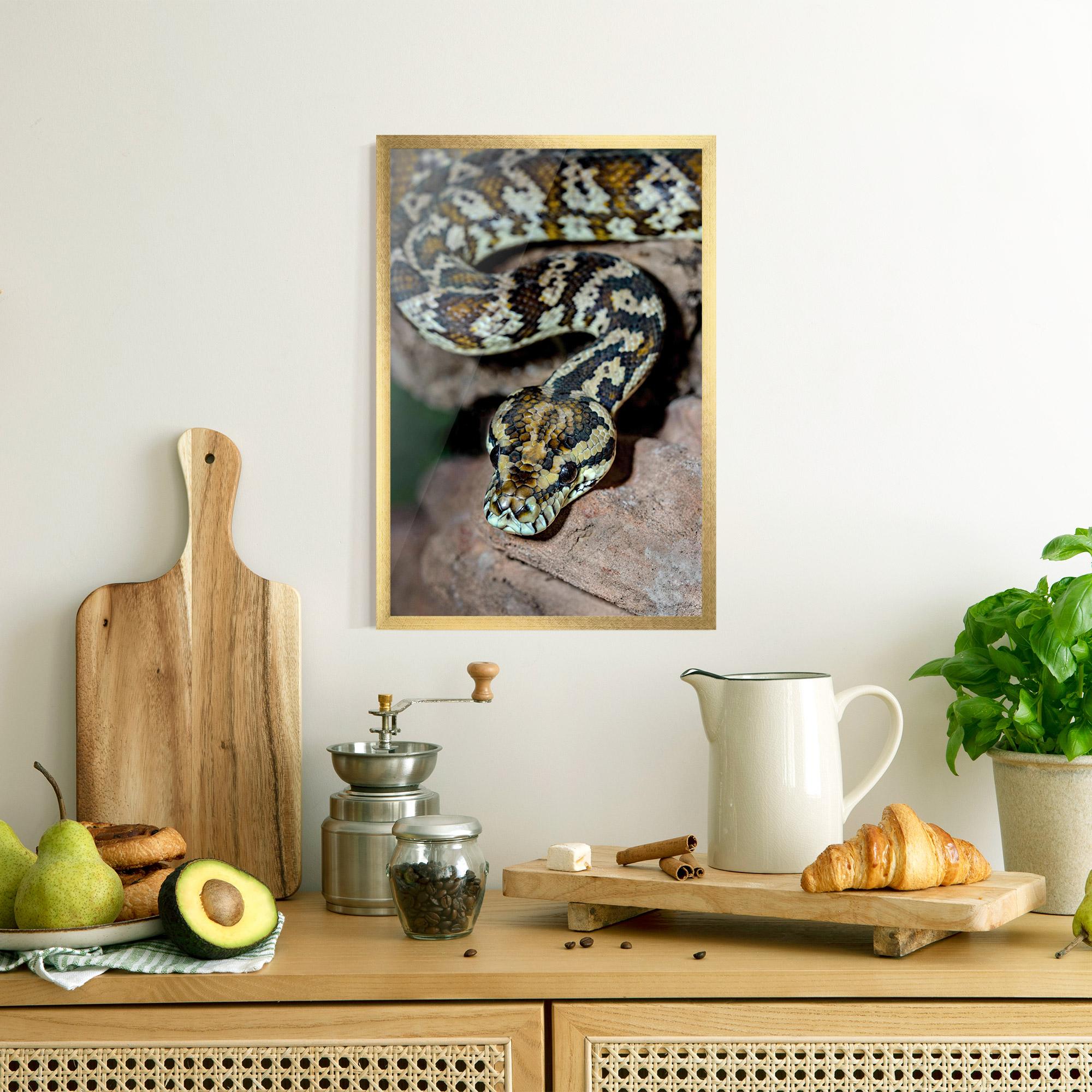 Gerahmte Poster King Snake mockup 8