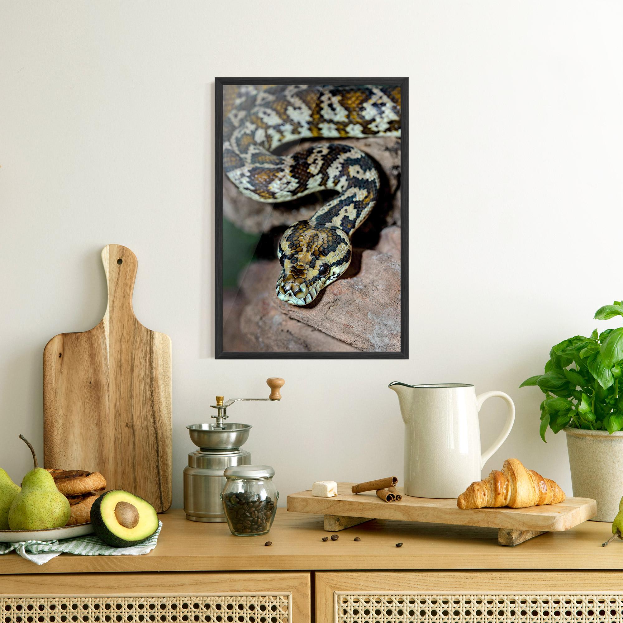 Gerahmte Poster King Snake mockup 8