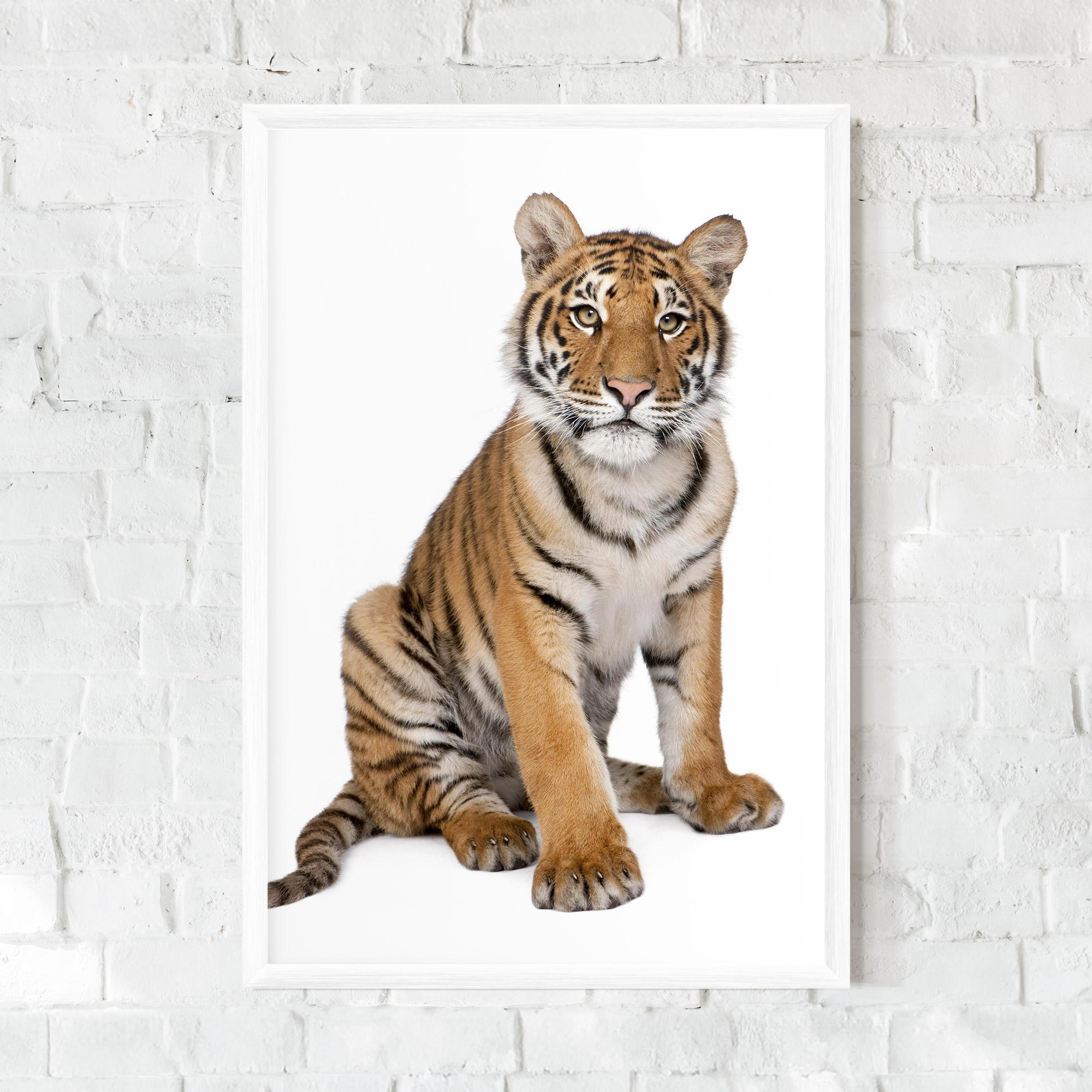 Gerahmte Poster Baby Tiger mockup 0