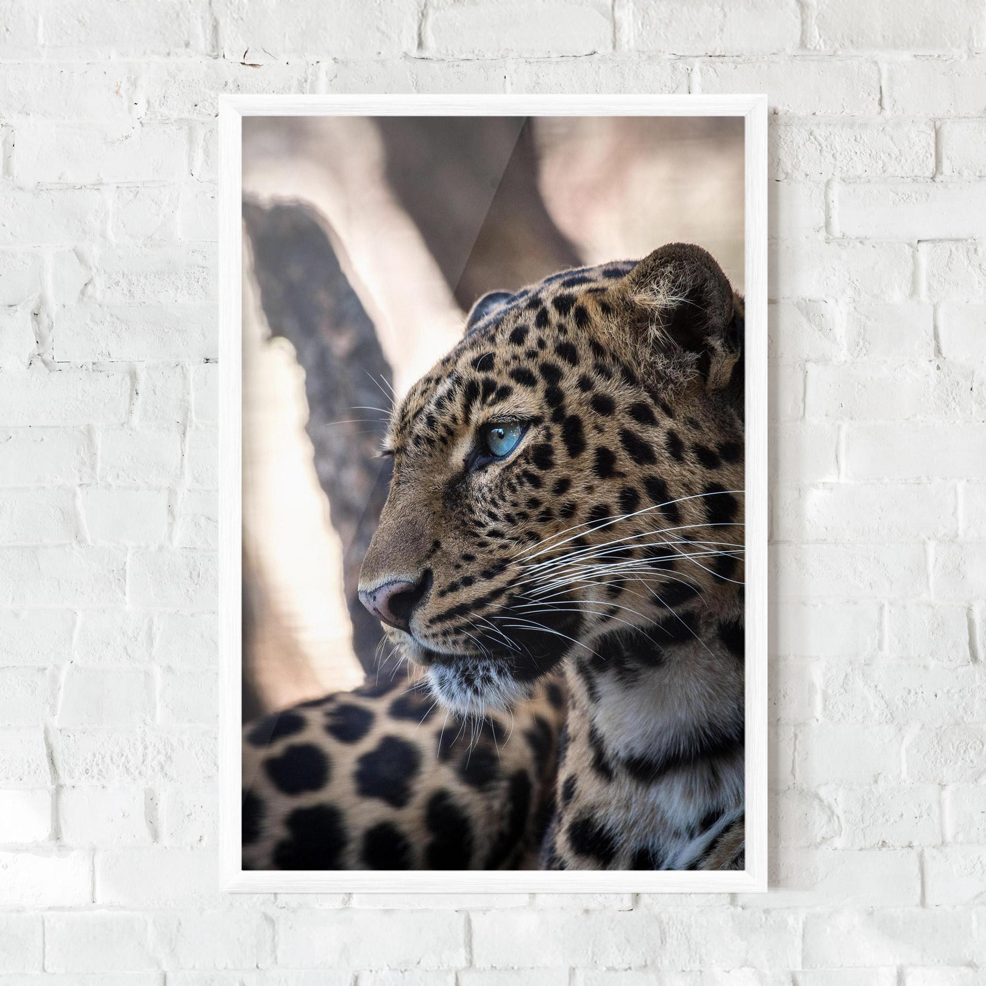 Gerahmte Poster Blue Tiger mockup 0