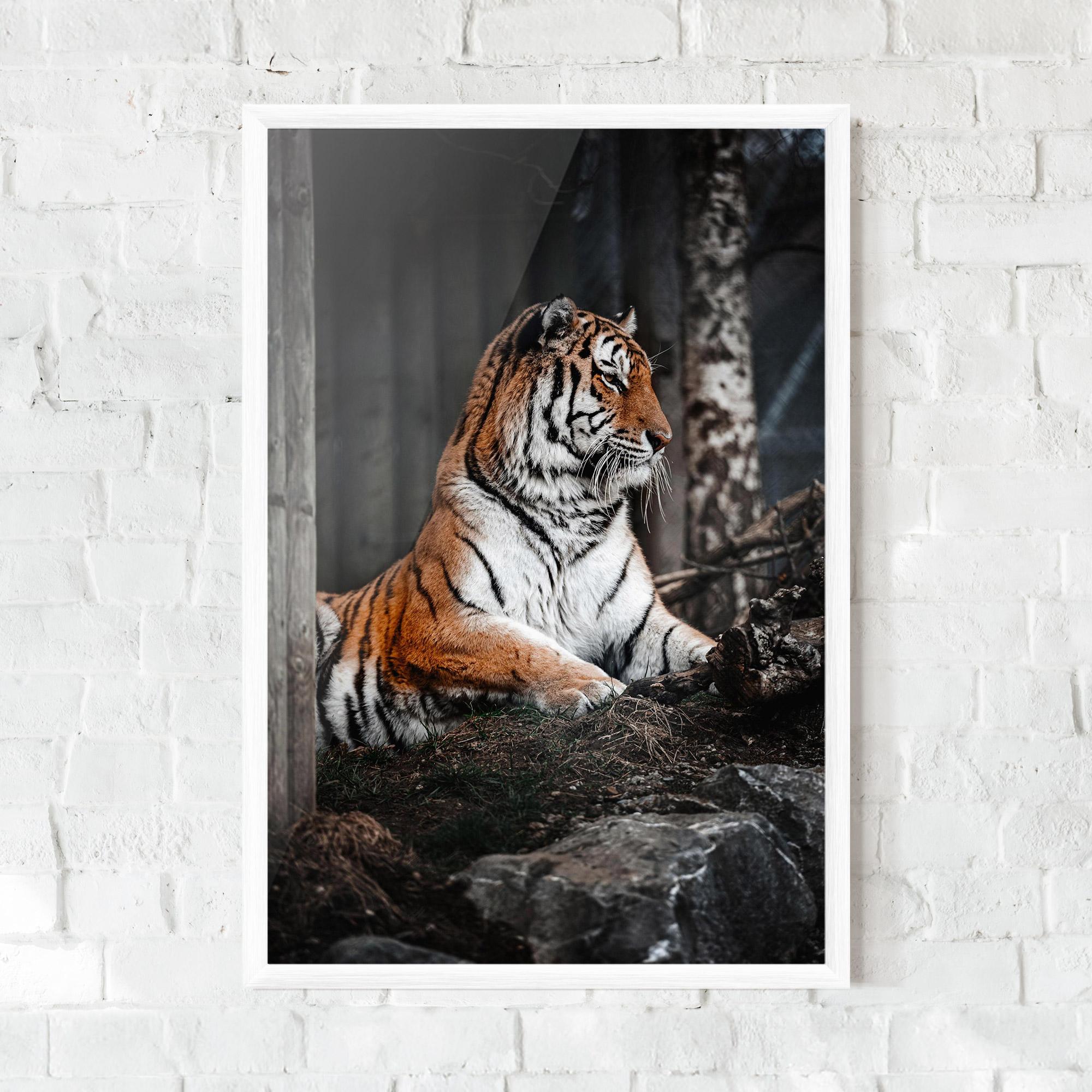 Gerahmte Poster Forest Tiger mockup 0