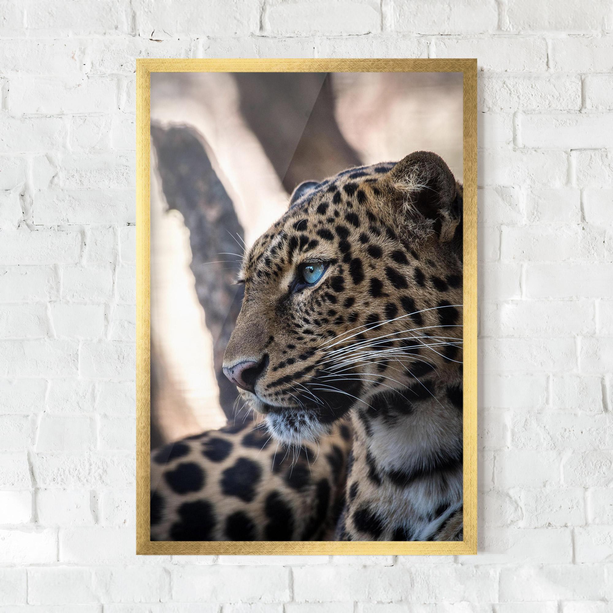 Gerahmte Poster Blue Tiger mockup 0