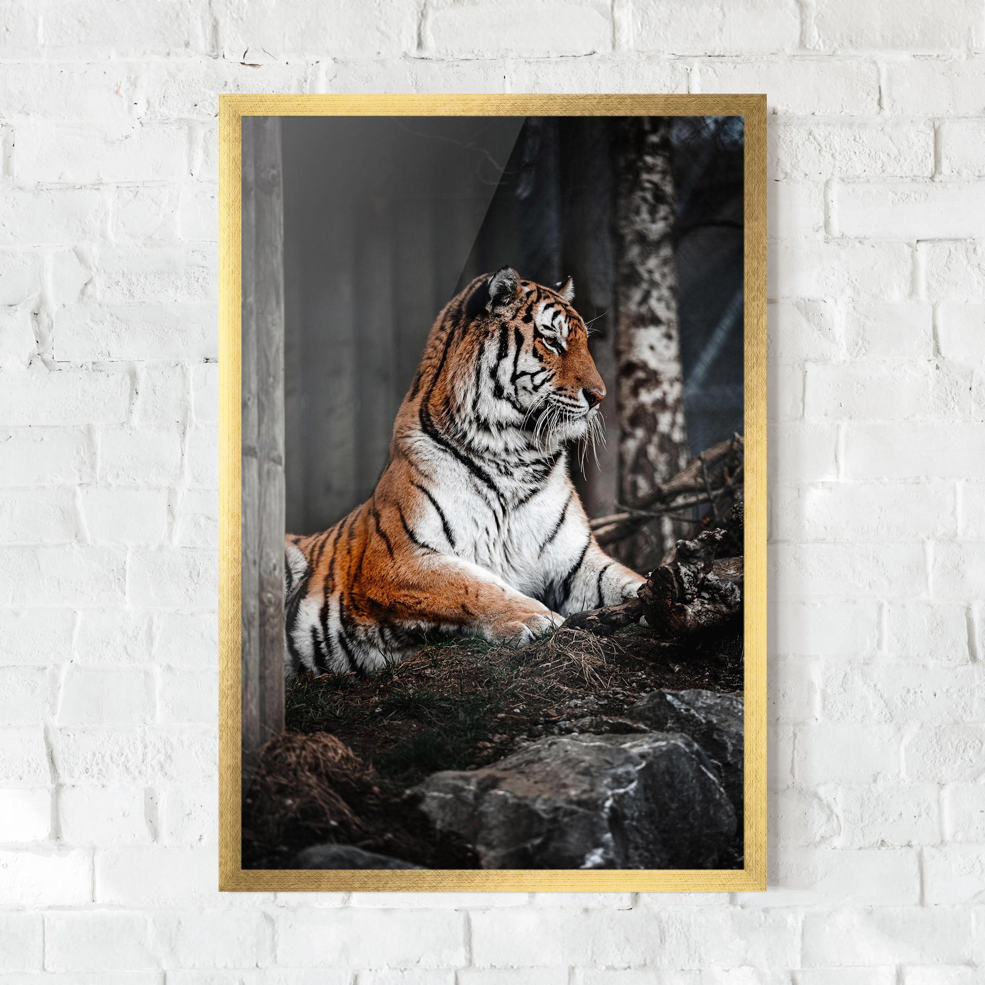 Gerahmte Poster Forest Tiger mockup 0