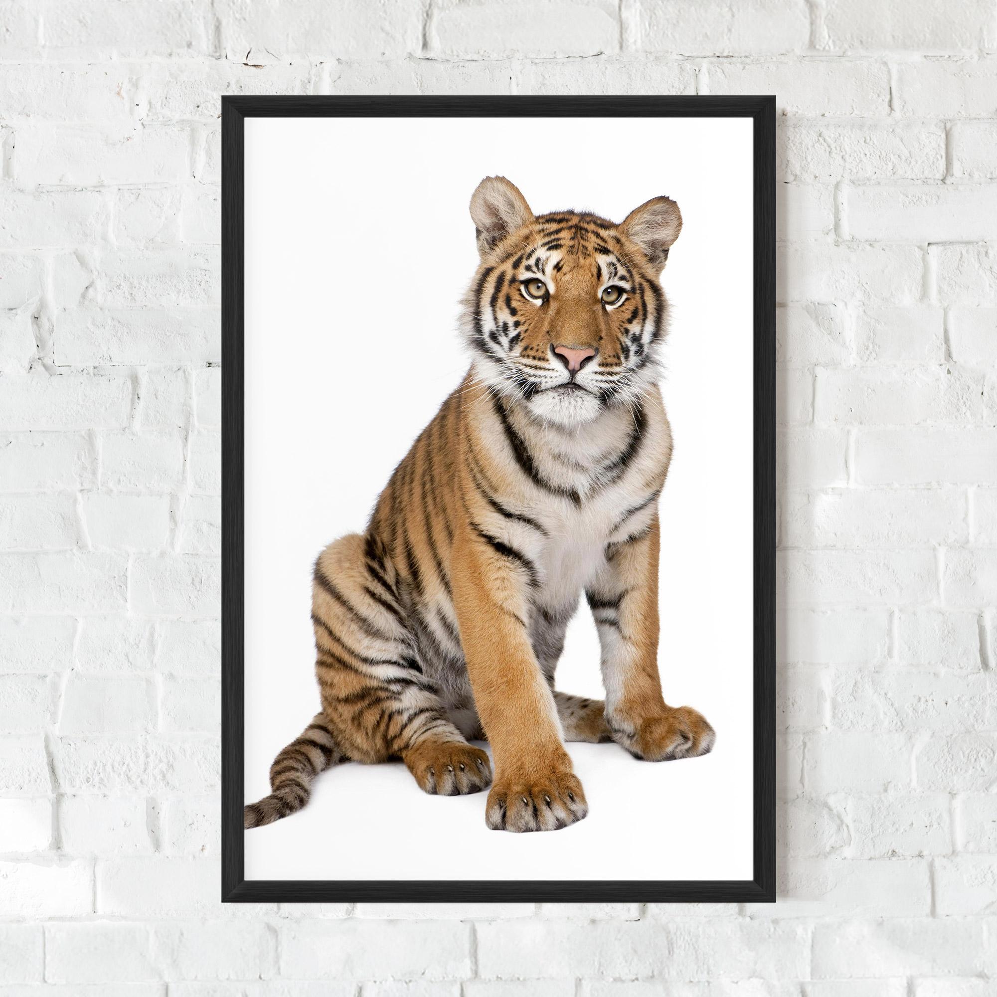 Gerahmte Poster Baby Tiger mockup 0