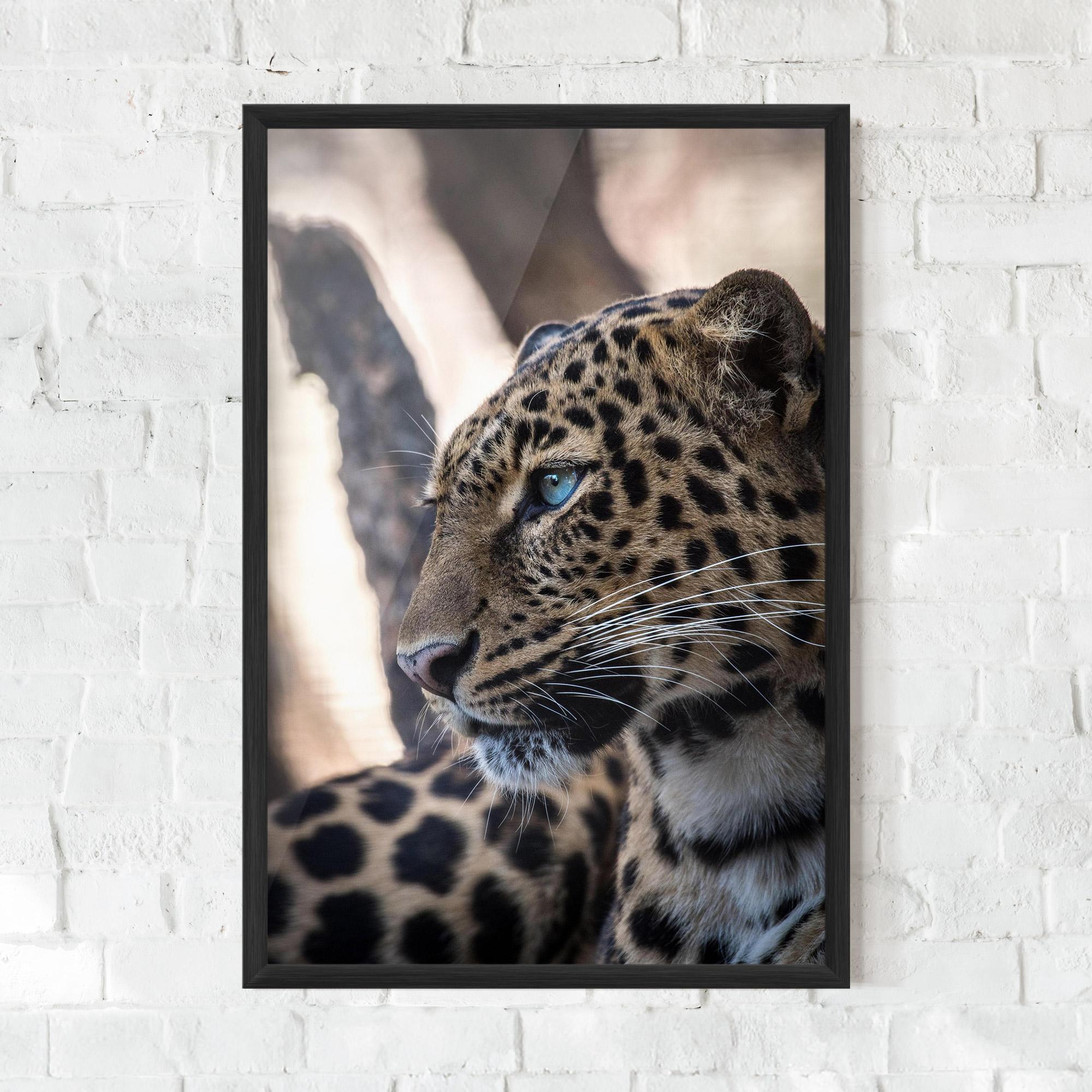 Gerahmte Poster Blue Tiger mockup 0