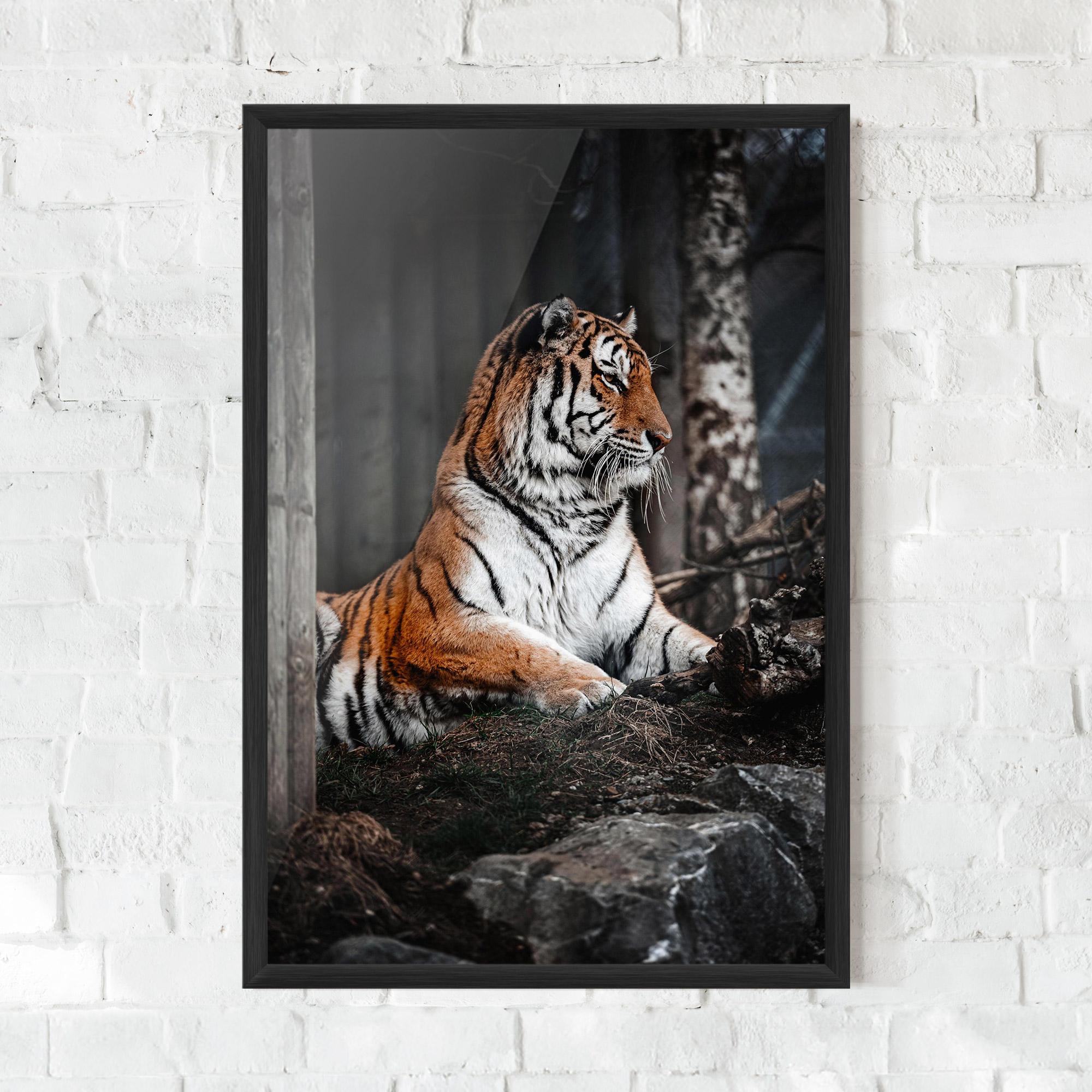 Gerahmte Poster Forest Tiger mockup 0
