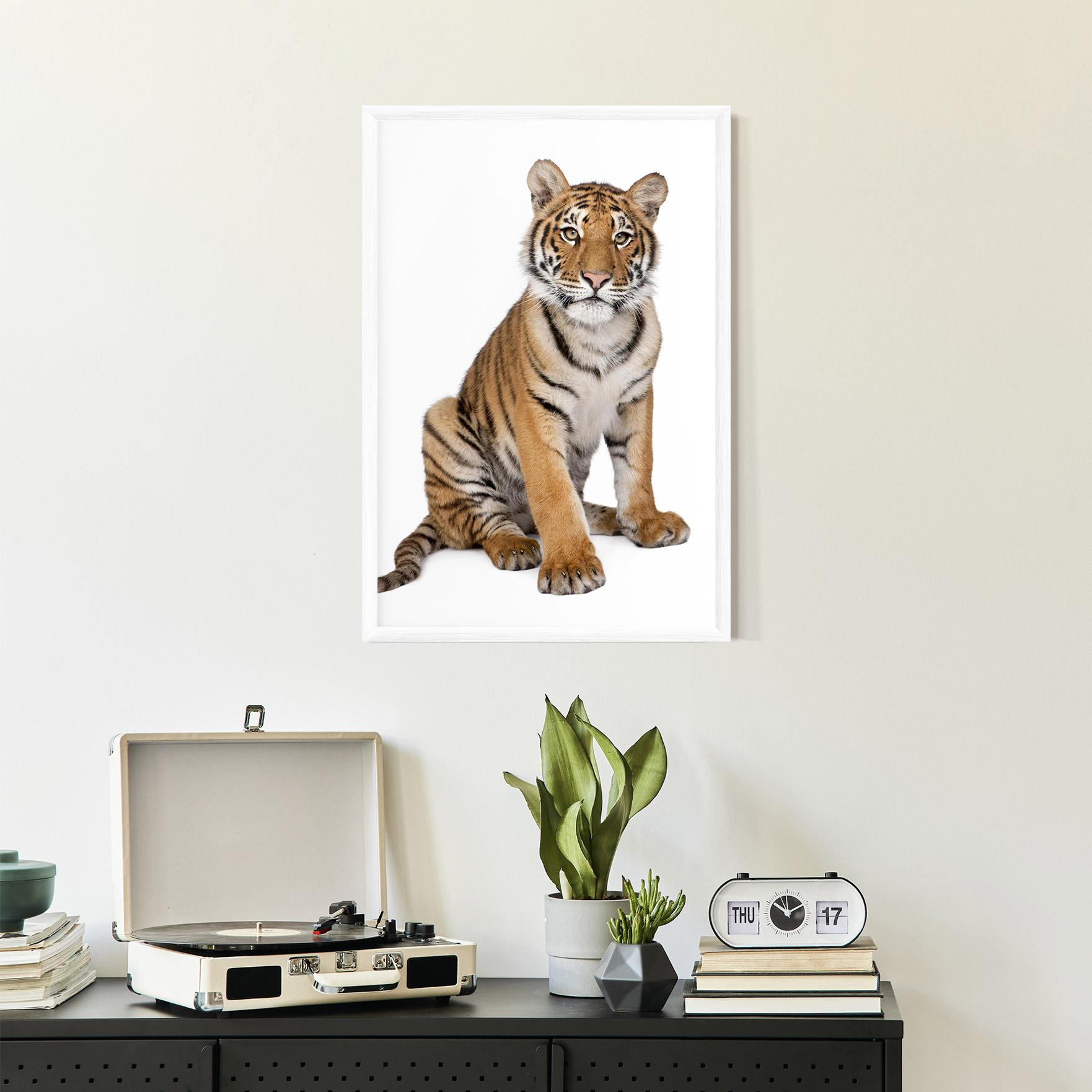 Gerahmte Poster Baby Tiger mockup 2