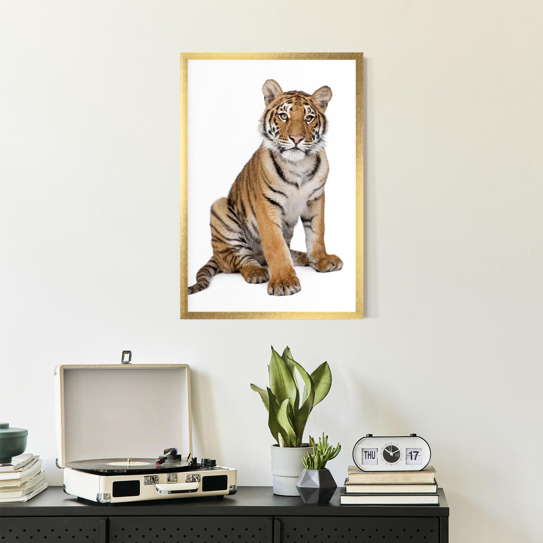 Gerahmte Poster Baby Tiger mockup 2