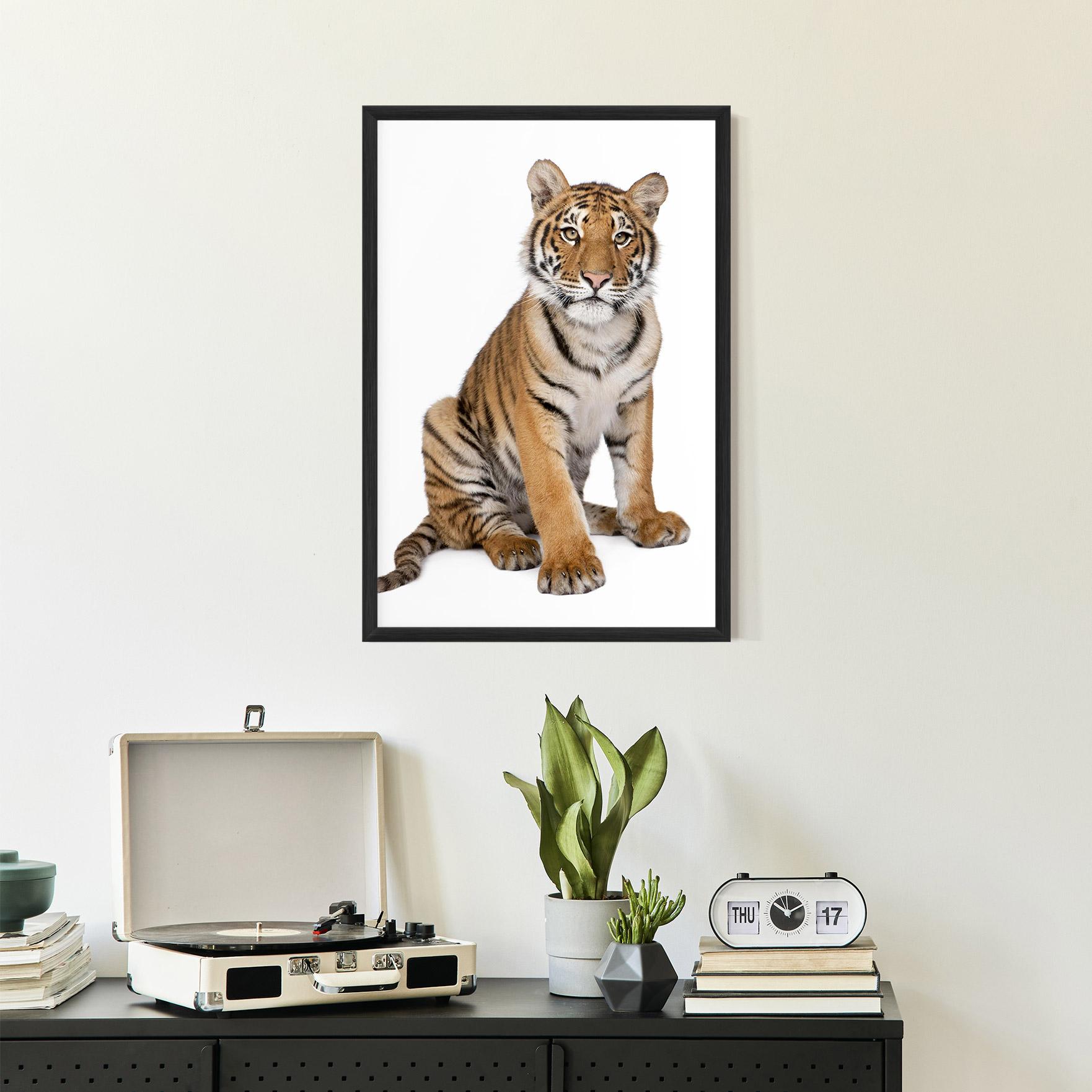 Gerahmte Poster Baby Tiger mockup 2