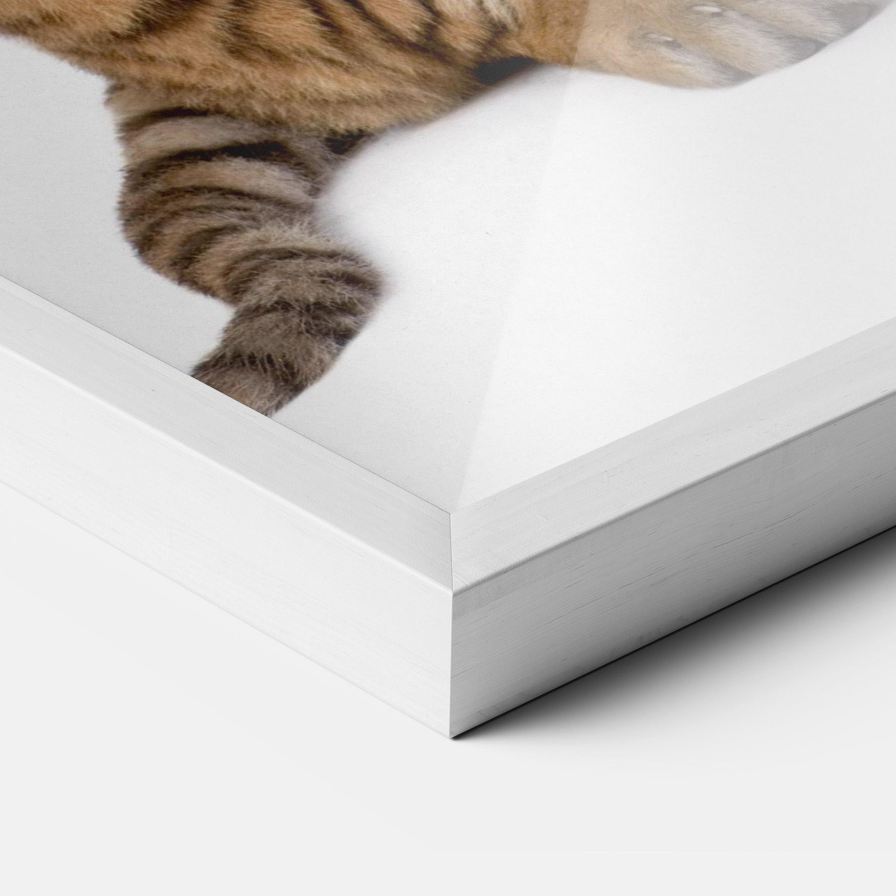 Gerahmte Poster Baby Tiger mockup 3