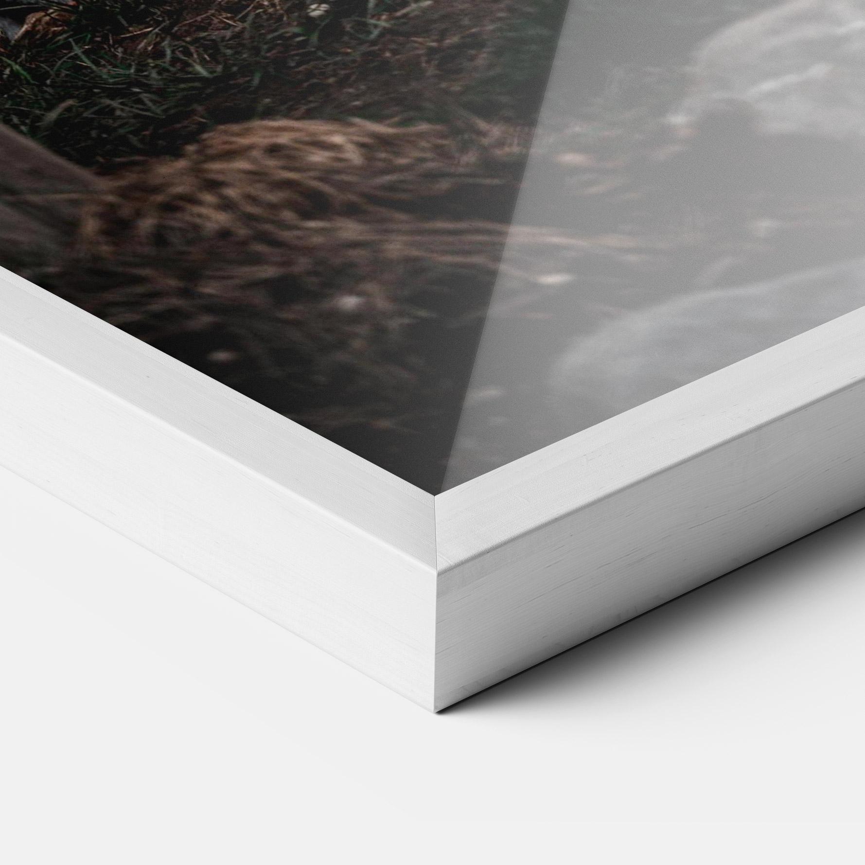 Gerahmte Poster Forest Tiger mockup 3