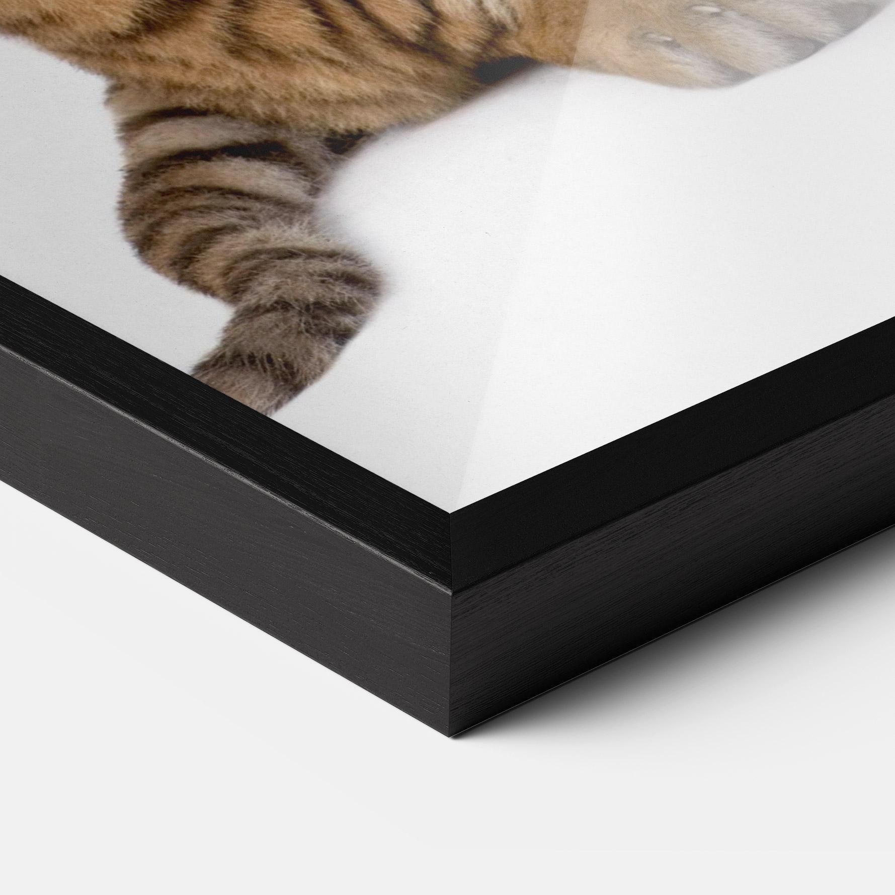 Gerahmte Poster Baby Tiger mockup 3
