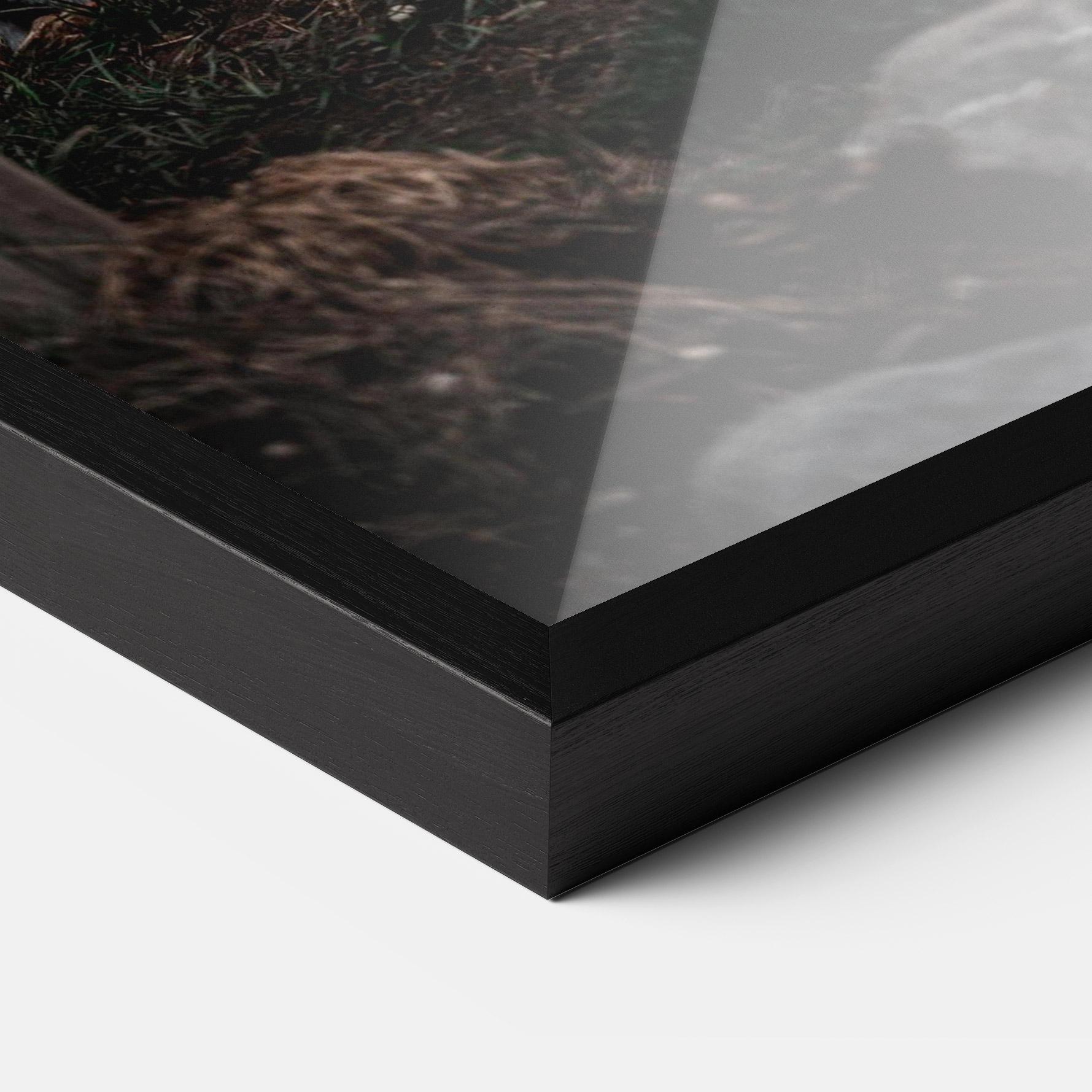 Gerahmte Poster Forest Tiger mockup 3