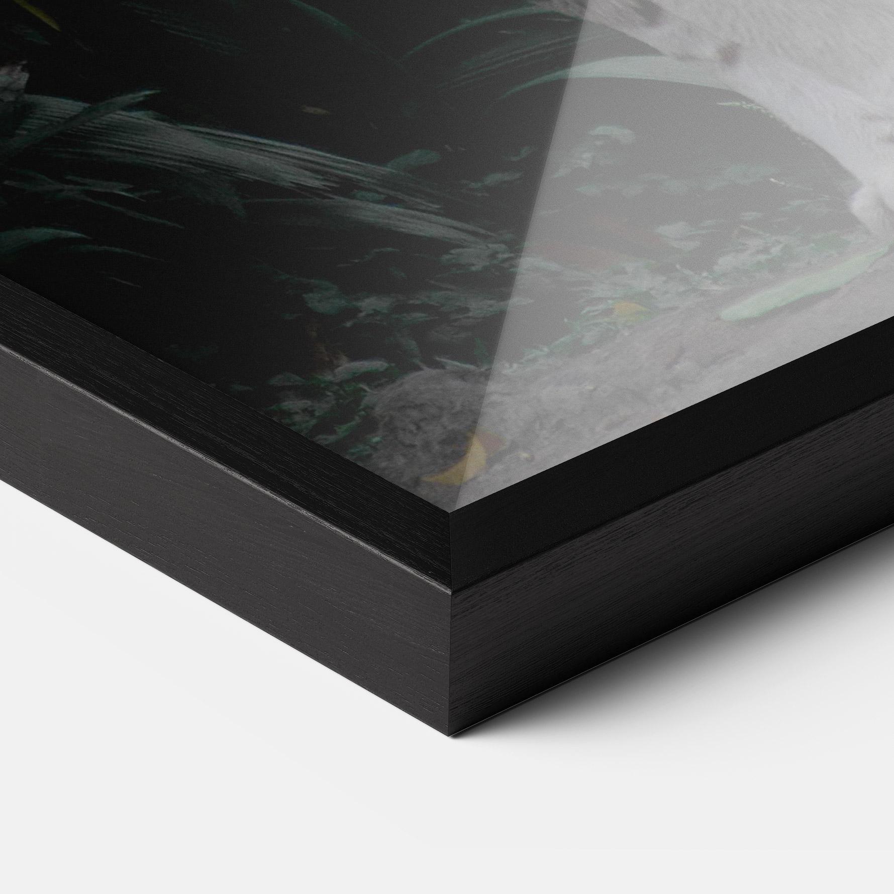 Gerahmte Poster White Tiger mockup 3