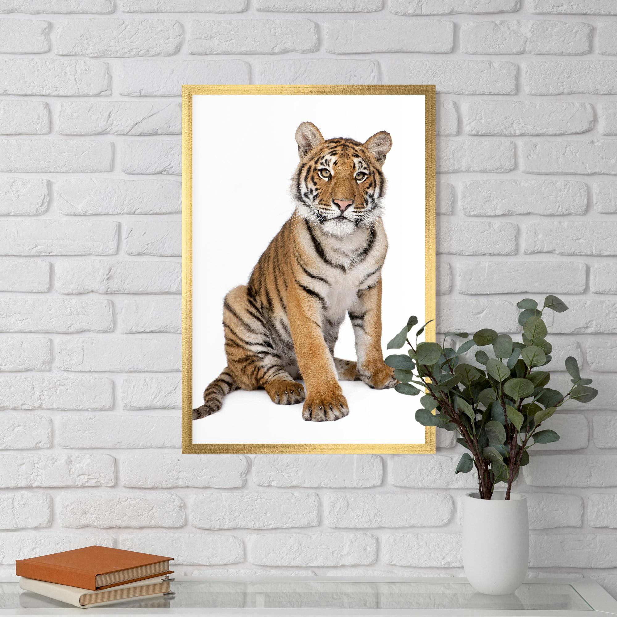 Gerahmte Poster Baby Tiger mockup 5