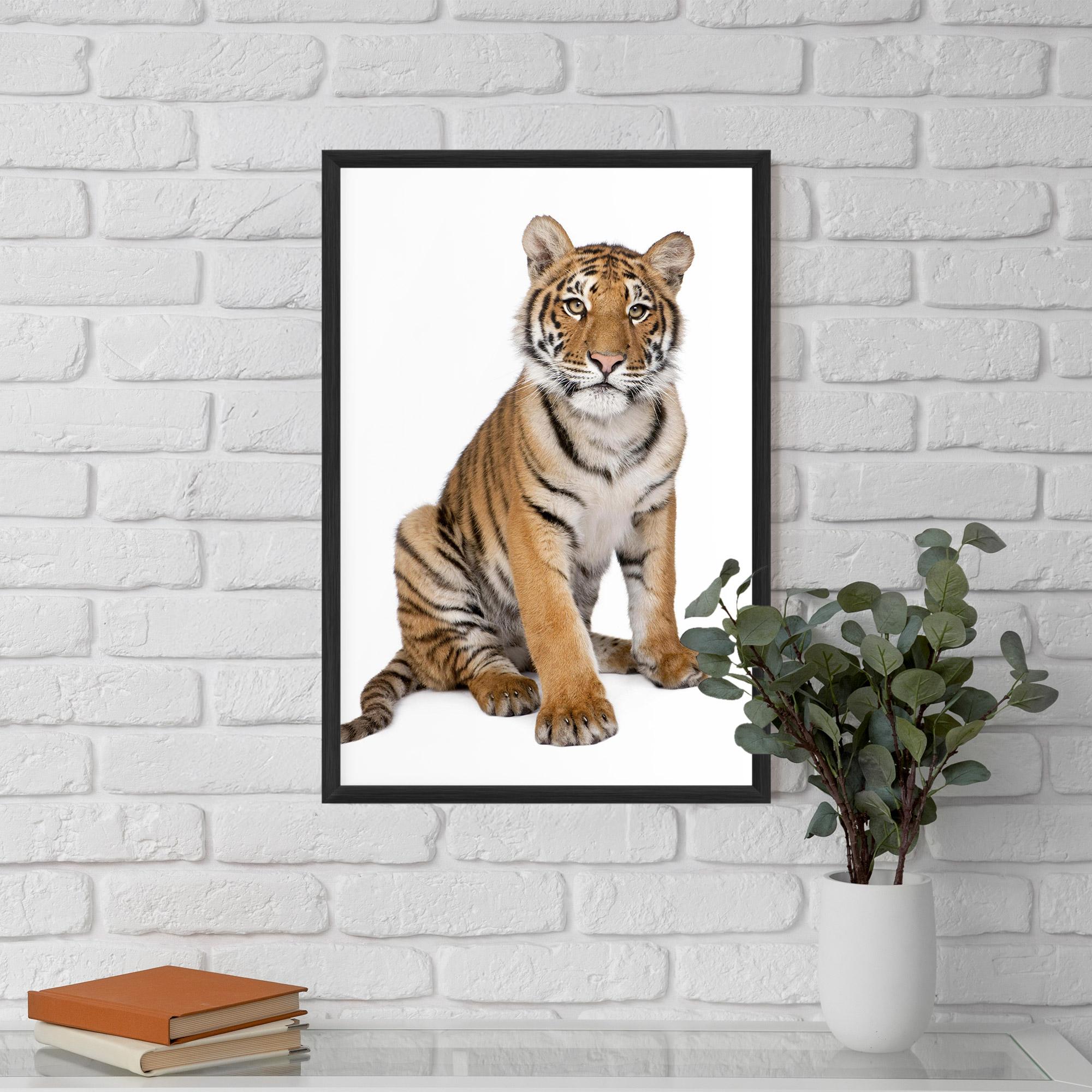 Gerahmte Poster Baby Tiger mockup 5
