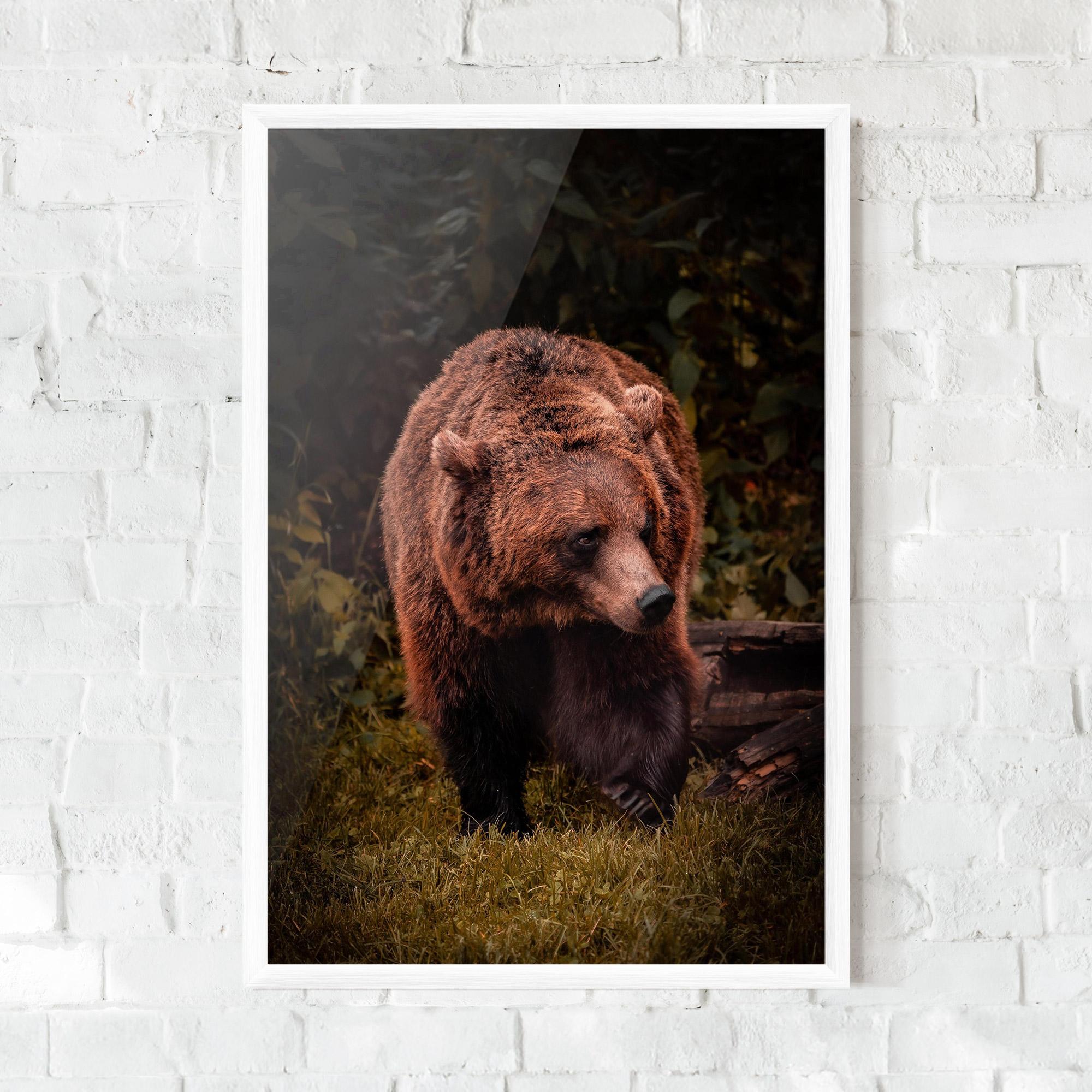 Gerahmte Poster Brown Bear mockup 0