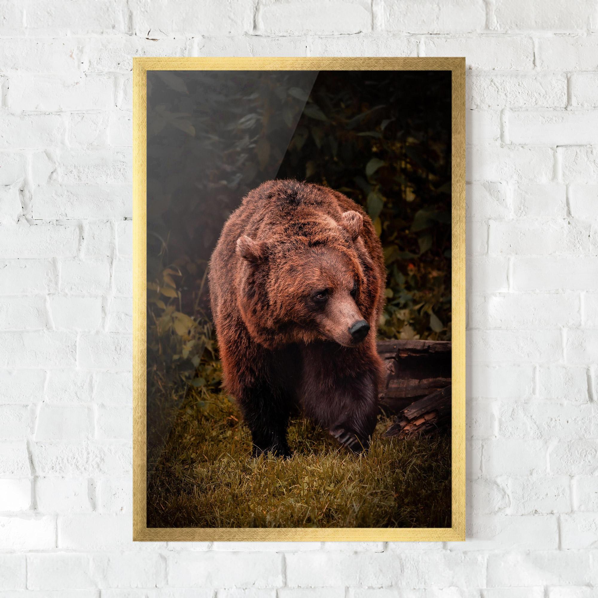 Gerahmte Poster Brown Bear mockup 0