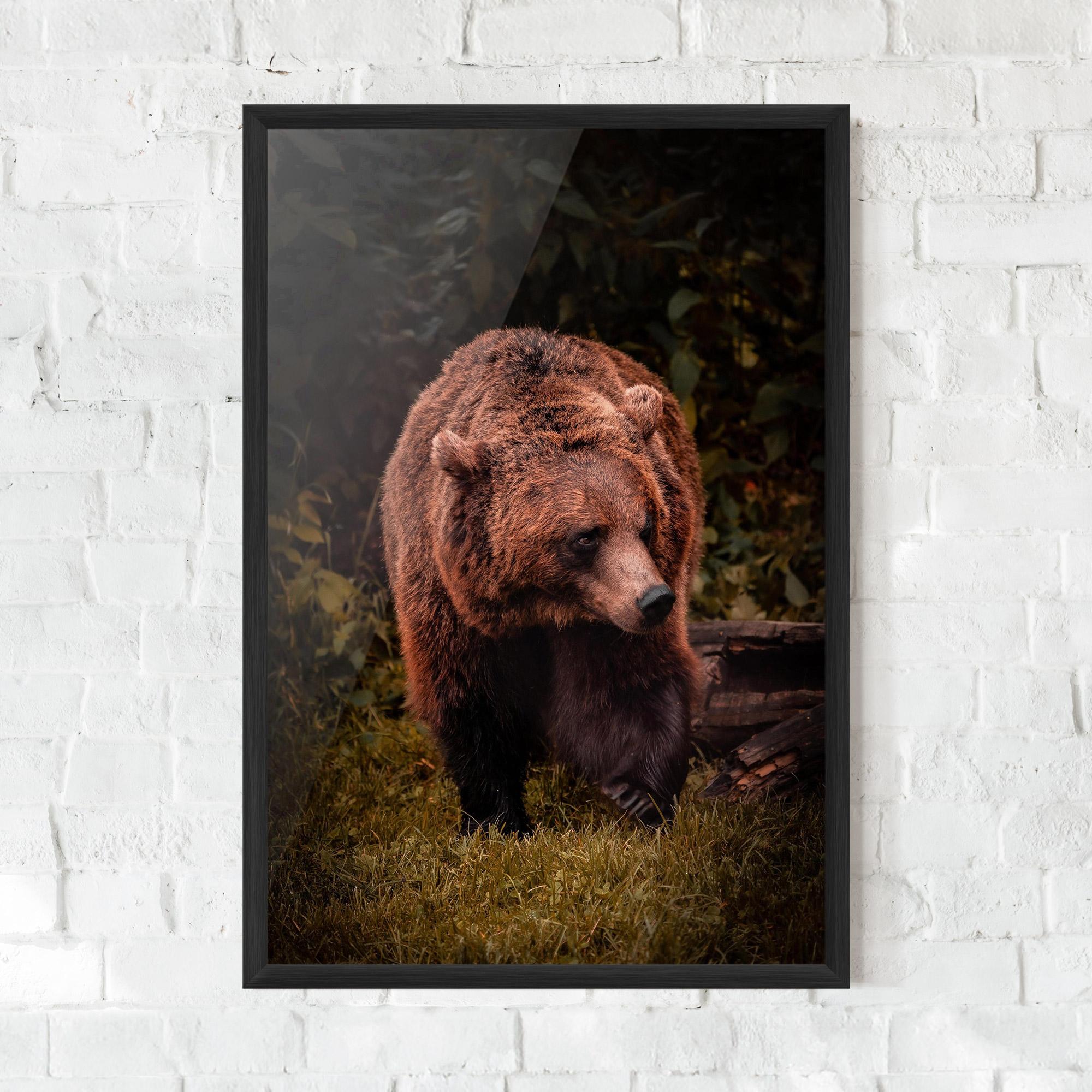 Gerahmte Poster Brown Bear mockup 0