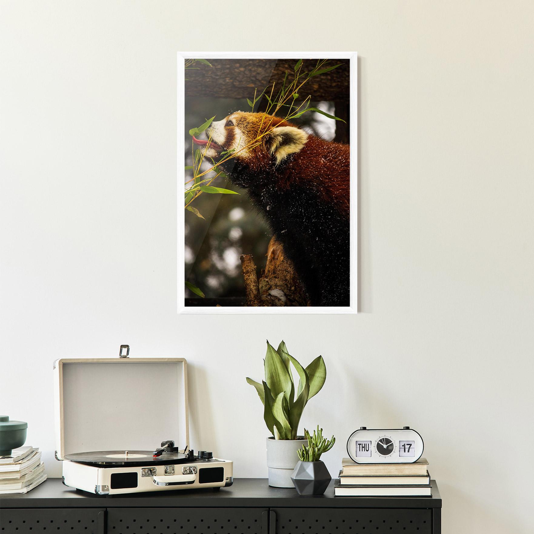 Gerahmte Poster Red Panda mockup 2