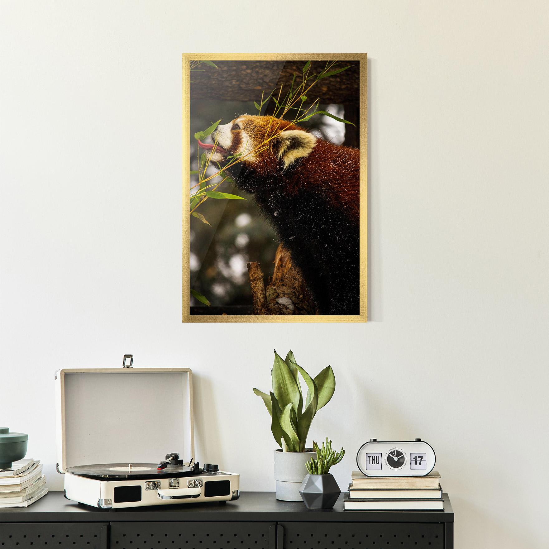 Gerahmte Poster Red Panda mockup 2