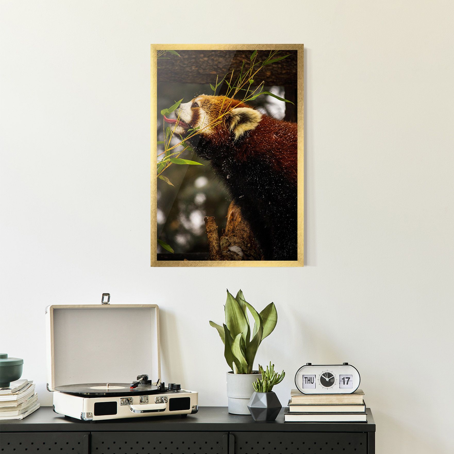 Red Panda mockup 2