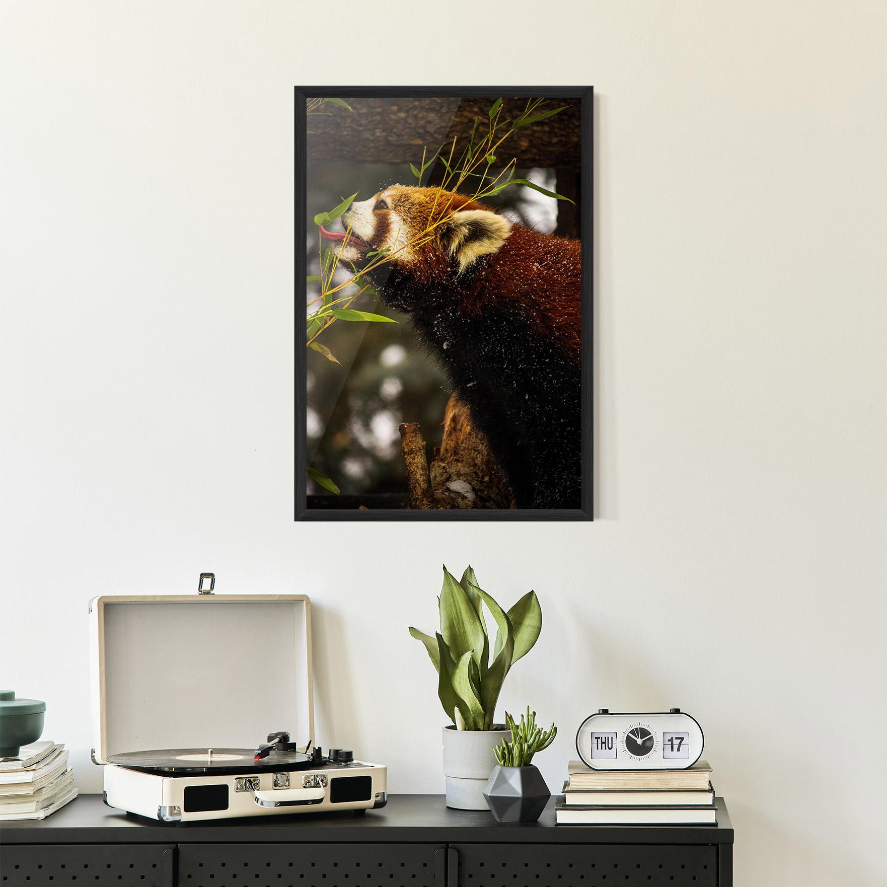 Gerahmte Poster Red Panda mockup 2