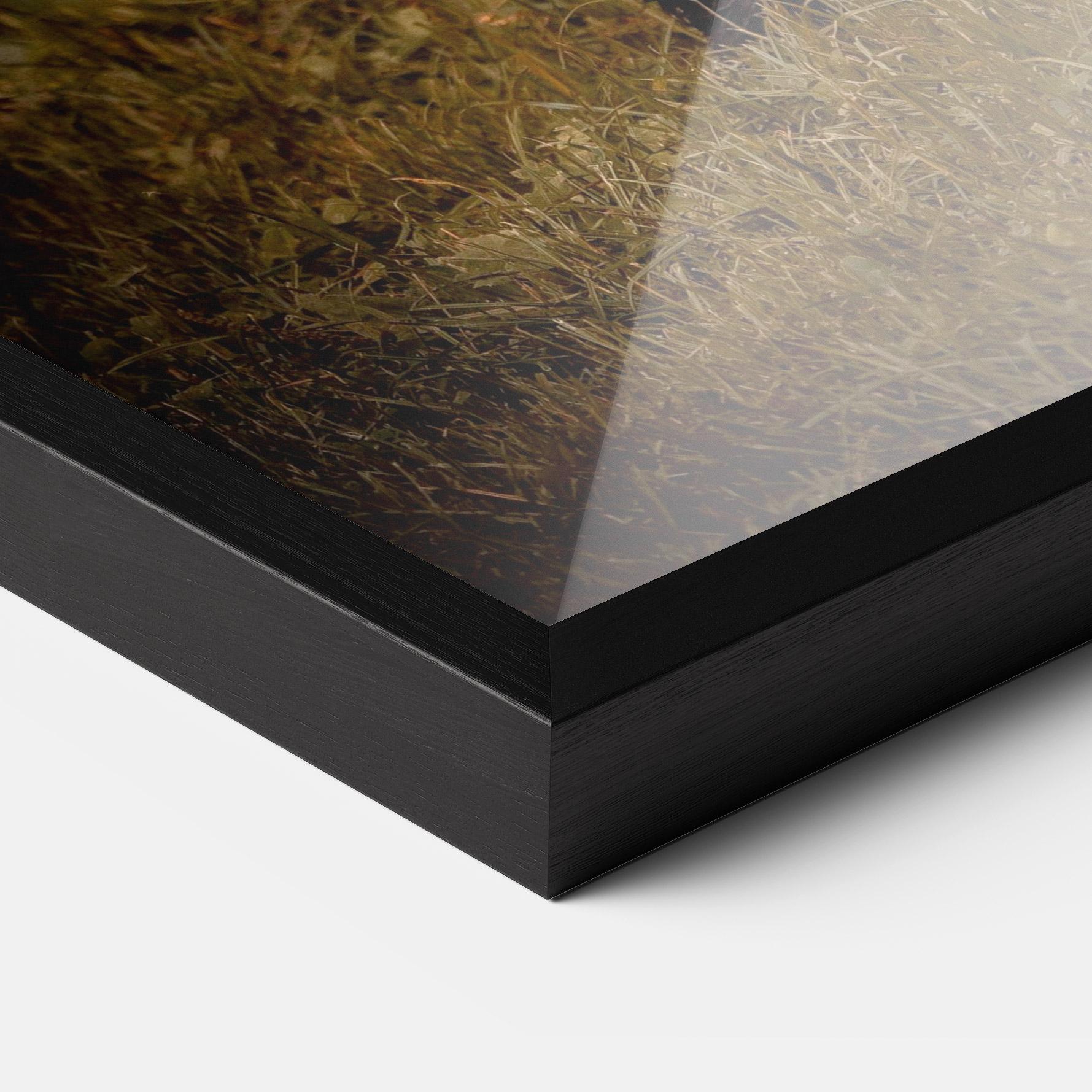 Gerahmte Poster Brown Bear mockup 3