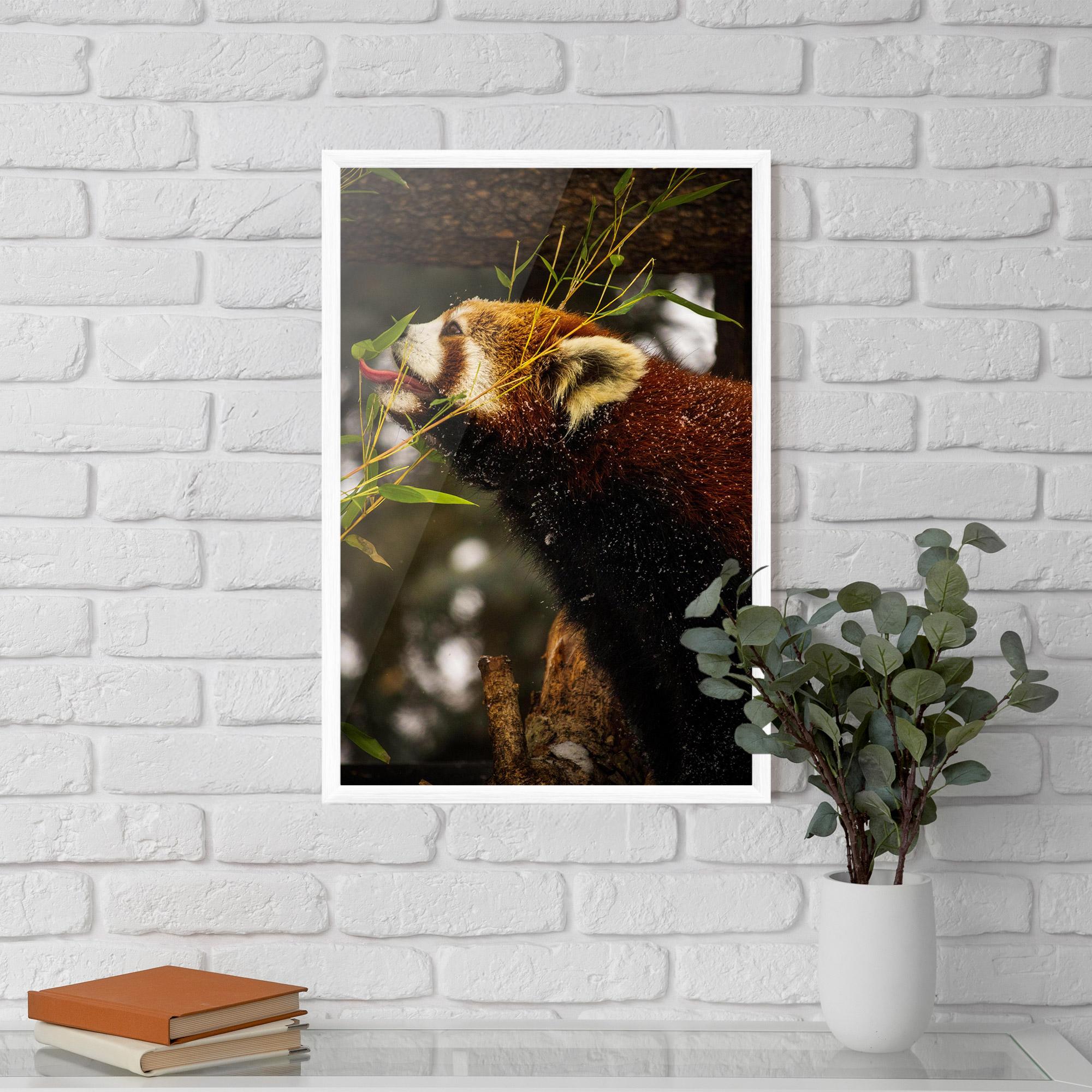 Gerahmte Poster Red Panda mockup 5