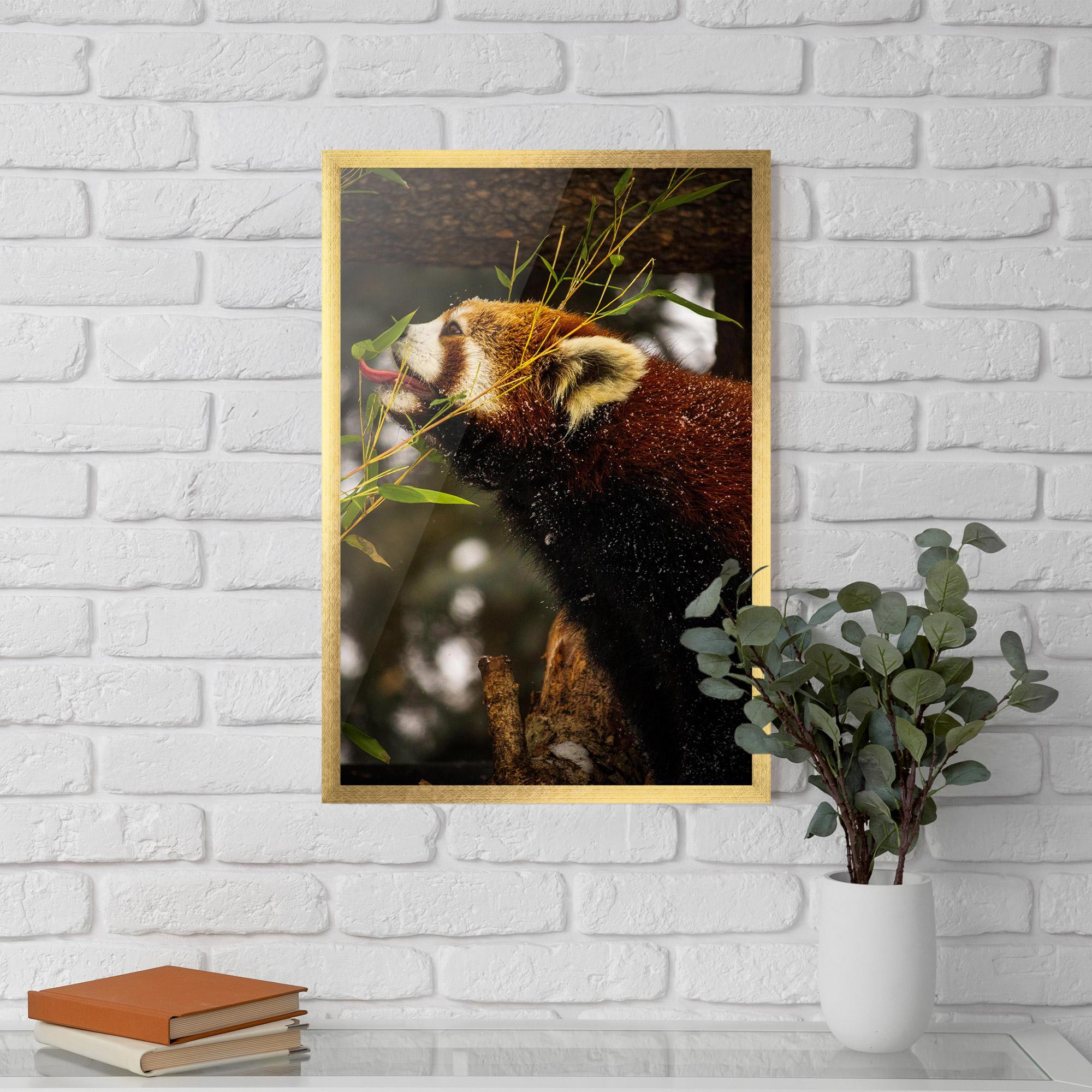 Gerahmte Poster Red Panda mockup 5