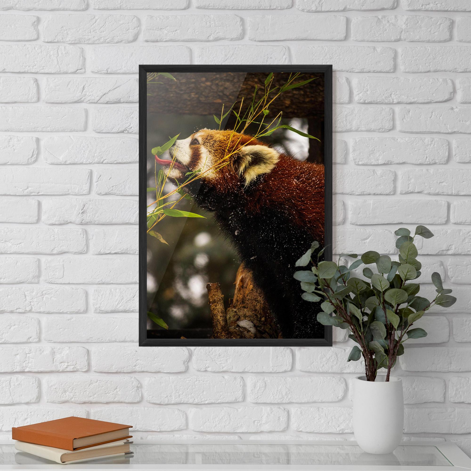 Gerahmte Poster Red Panda mockup 5
