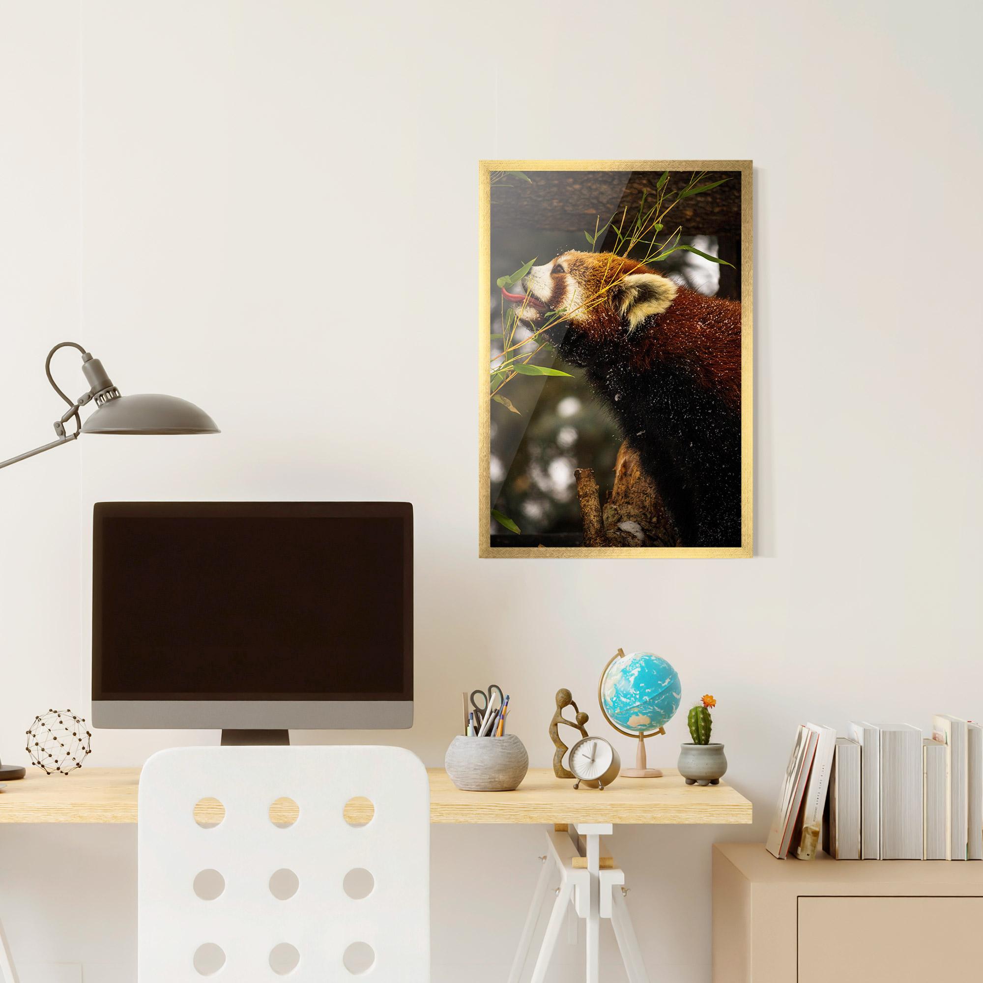 Gerahmte Poster Red Panda mockup 6