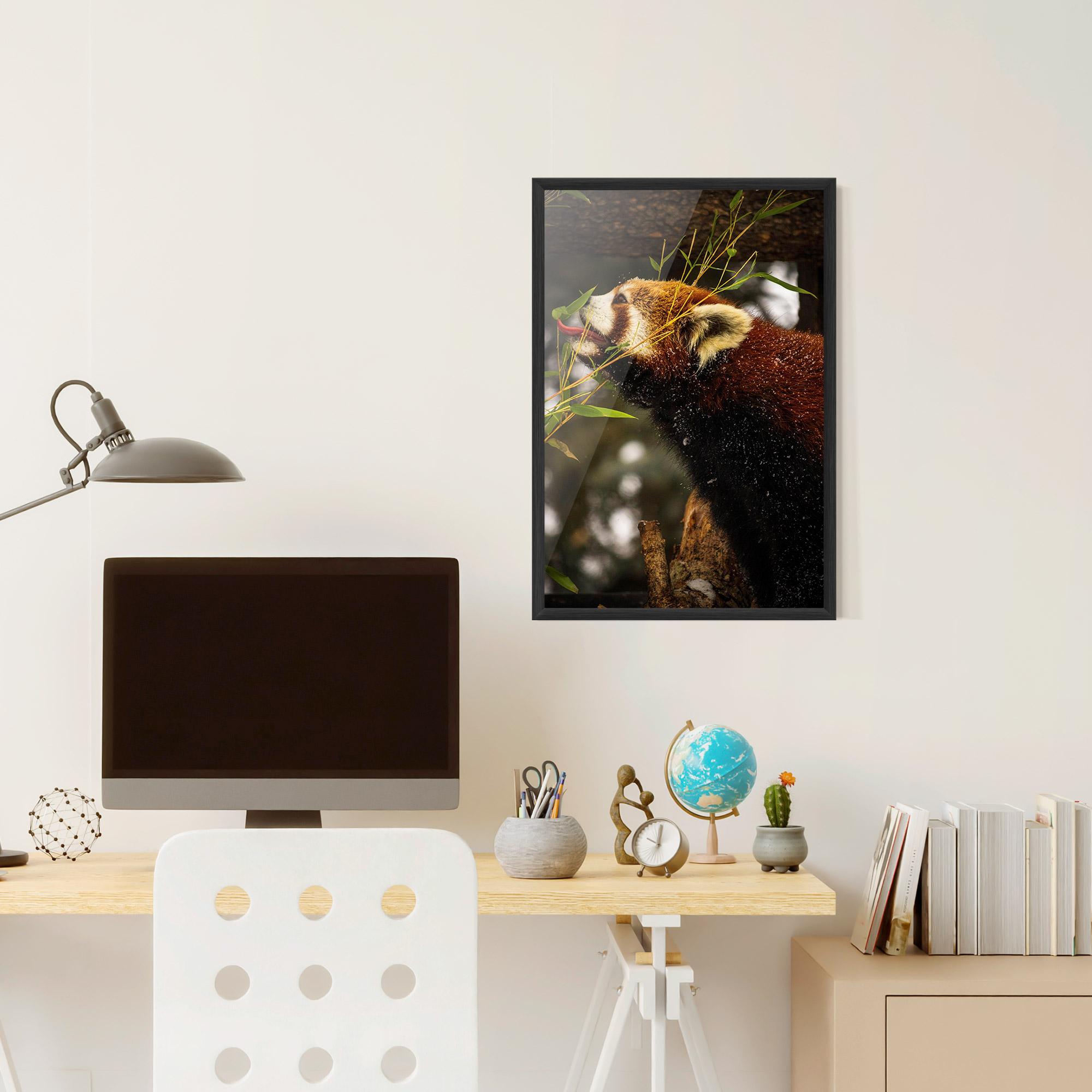 Gerahmte Poster Red Panda mockup 6