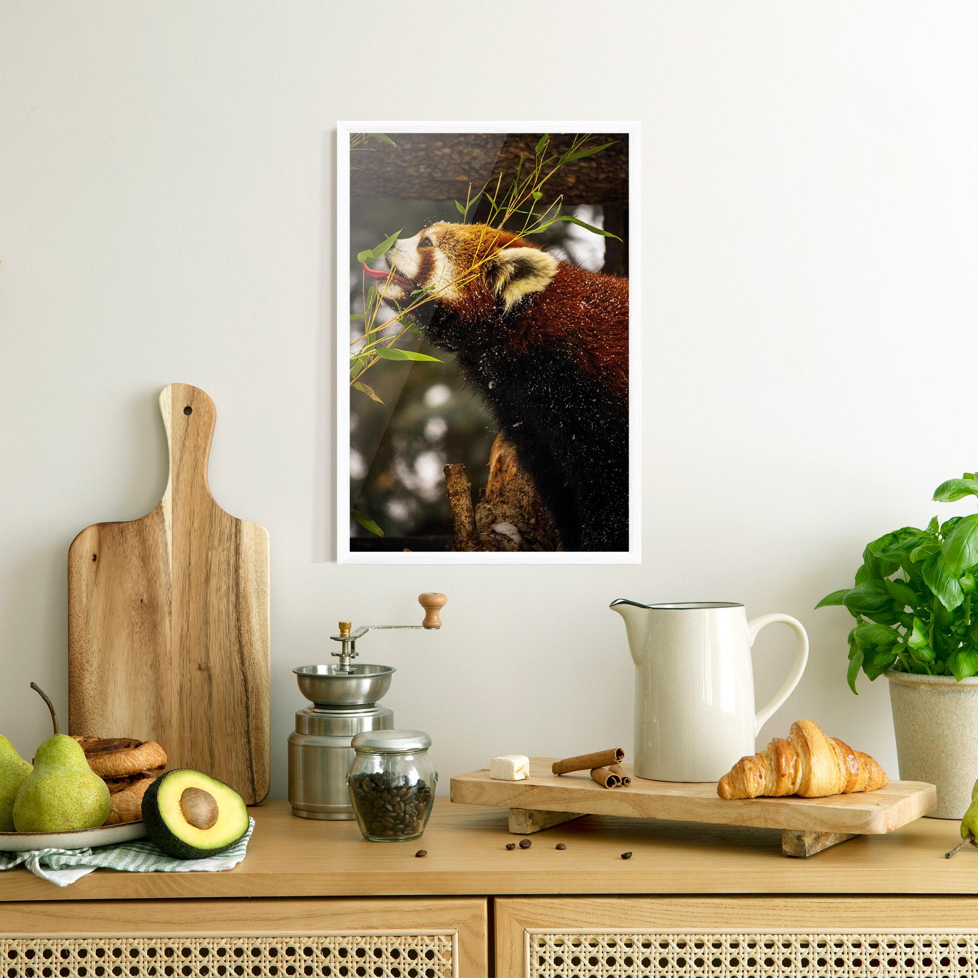 Gerahmte Poster Red Panda mockup 8