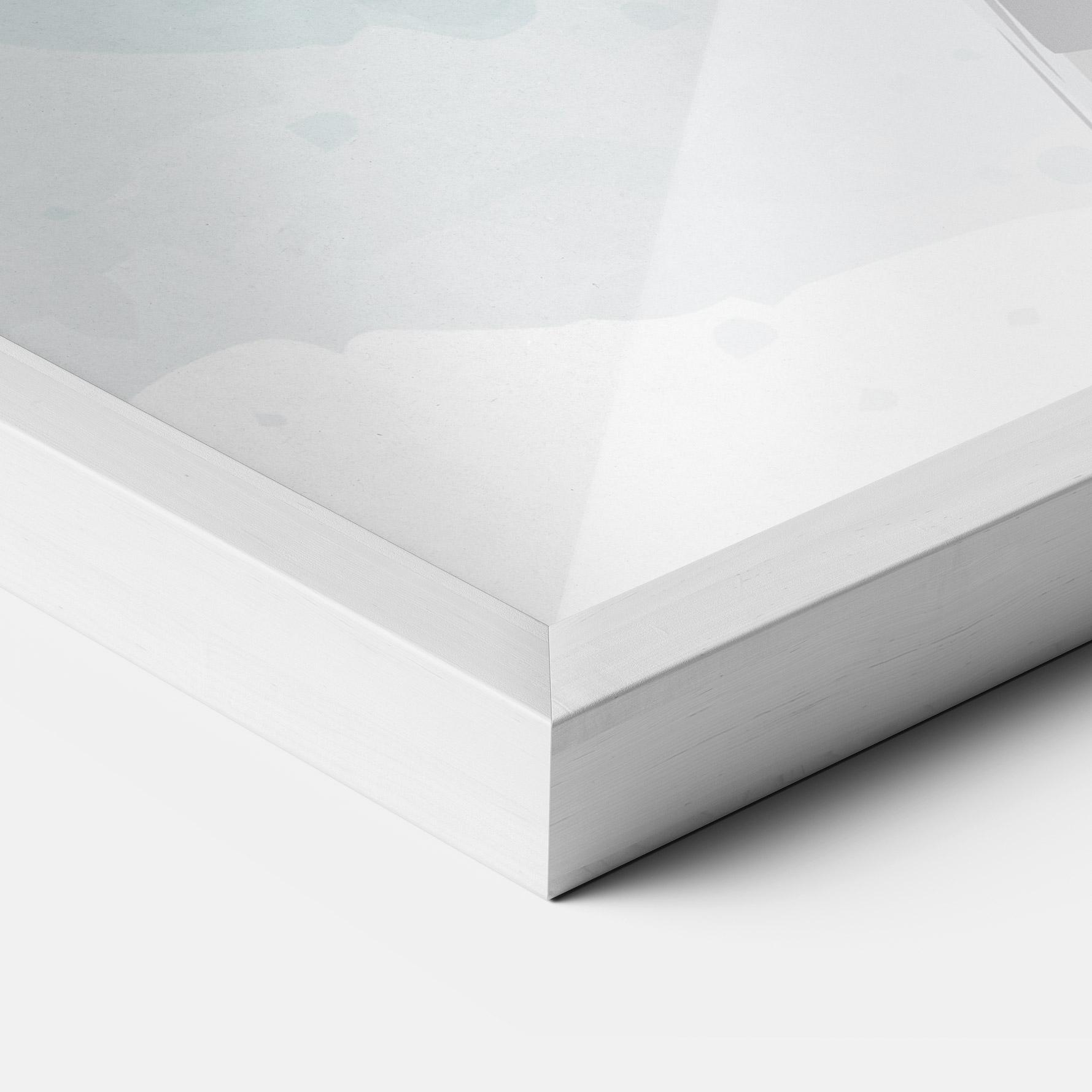 Gerahmte Poster Zebra Bird mockup 3