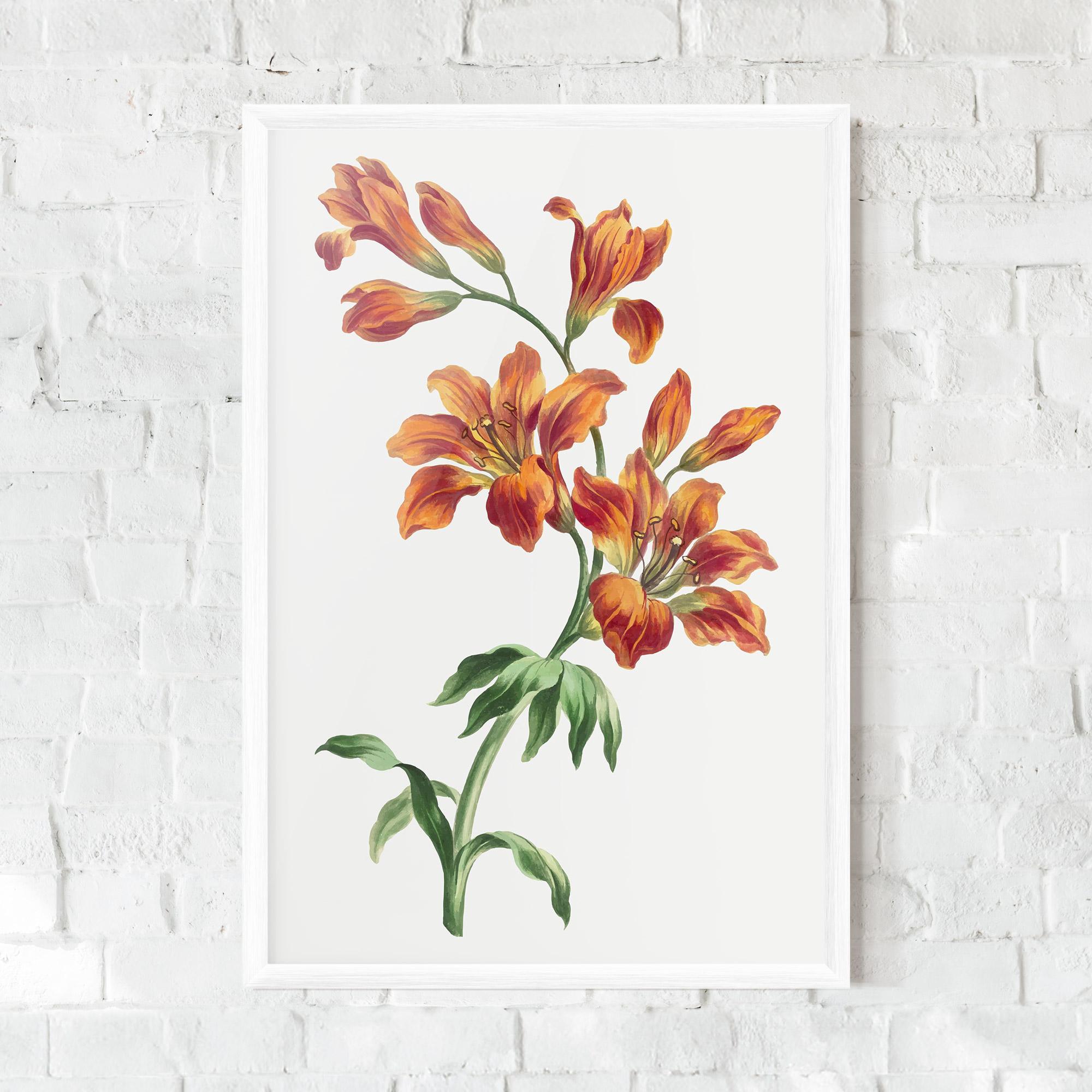 Gerahmte Poster Orange Painted Lily mockup 0