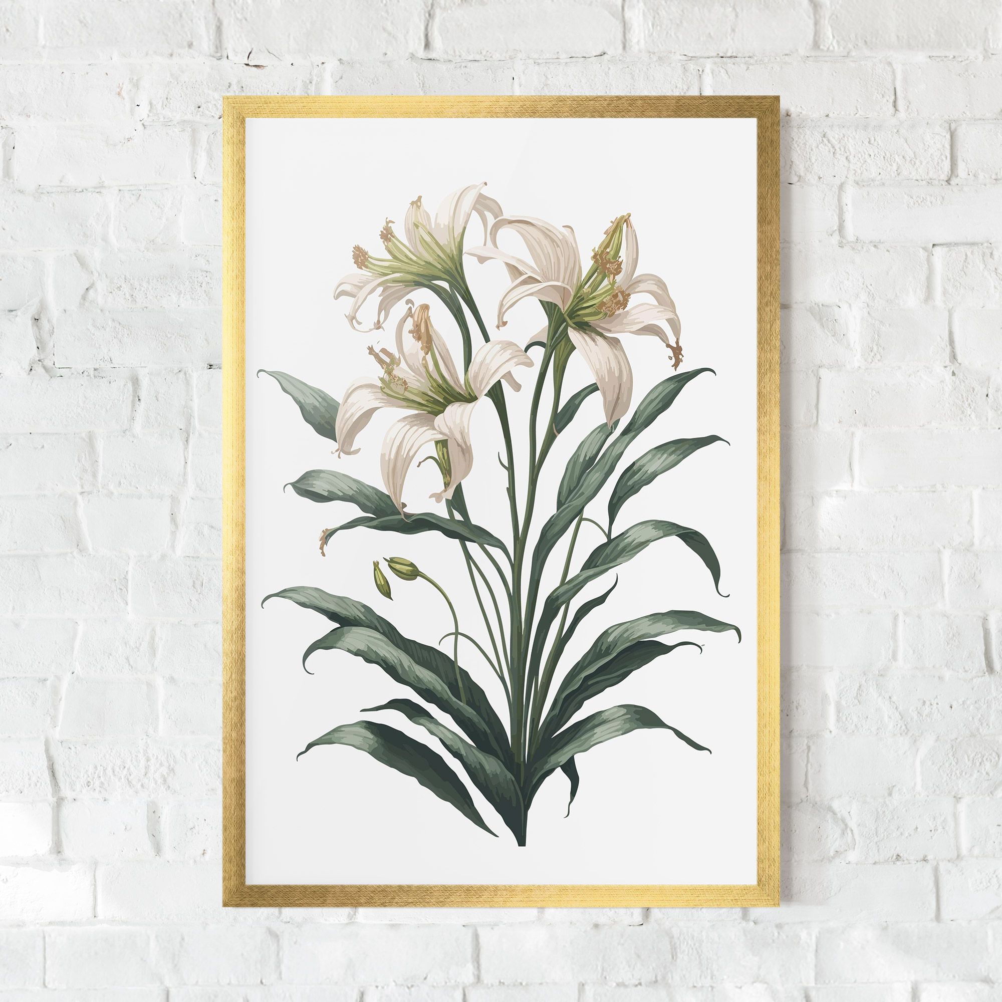 Columbia Lily mockup 0