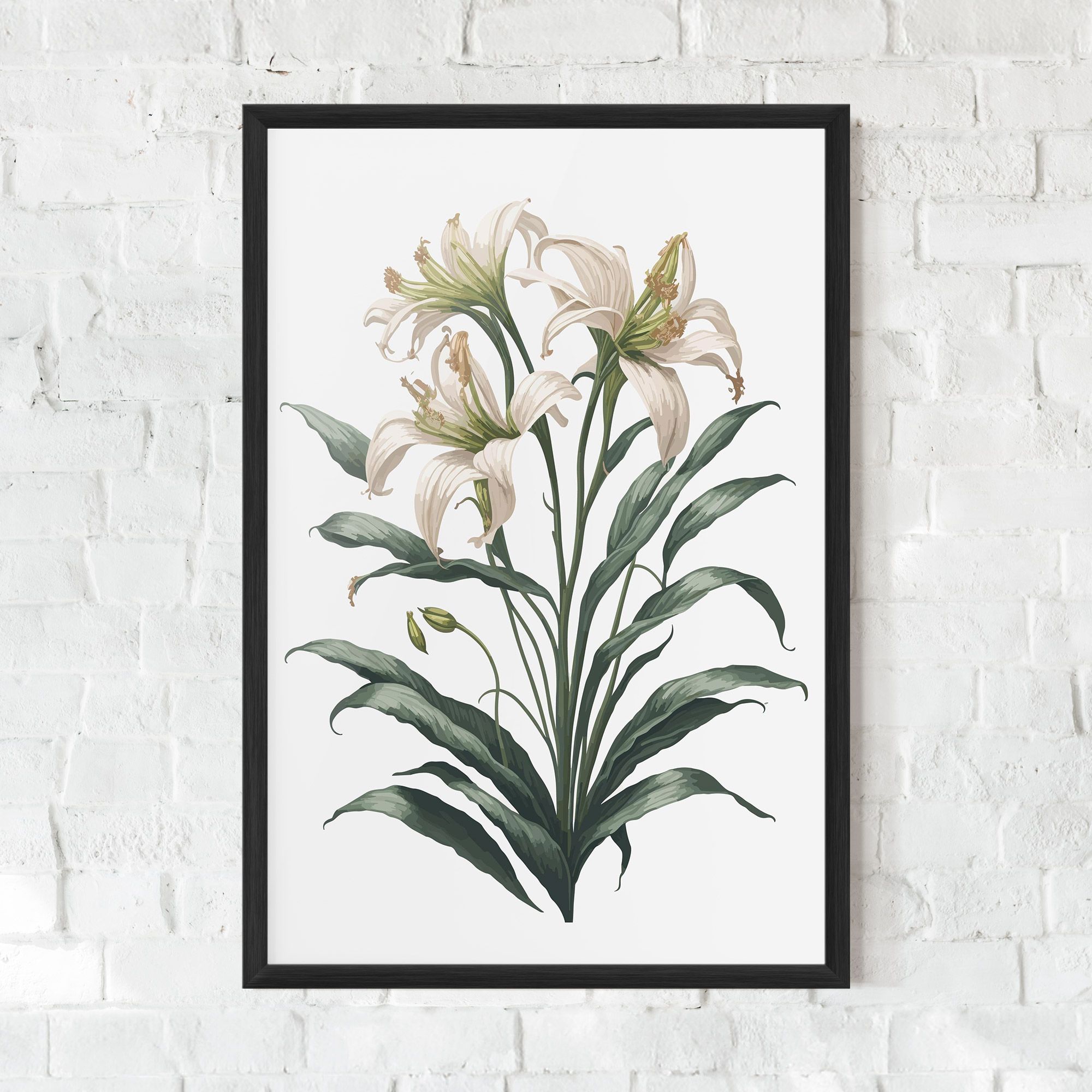 Columbia Lily mockup 0
