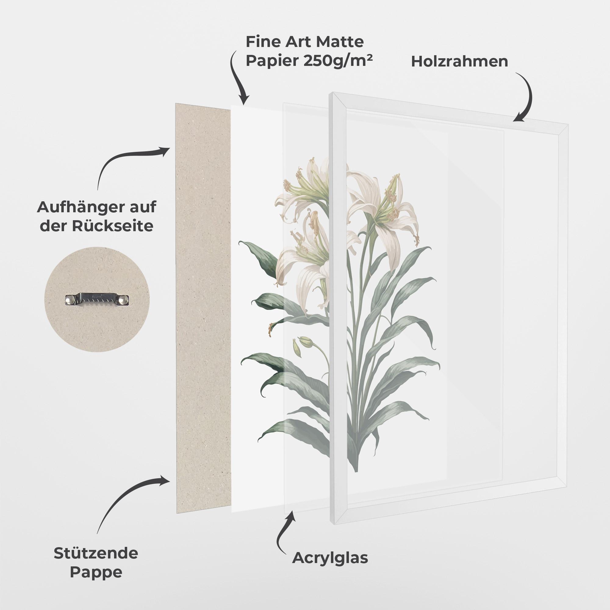 Gerahmte Poster Columbia Lily mockup 1