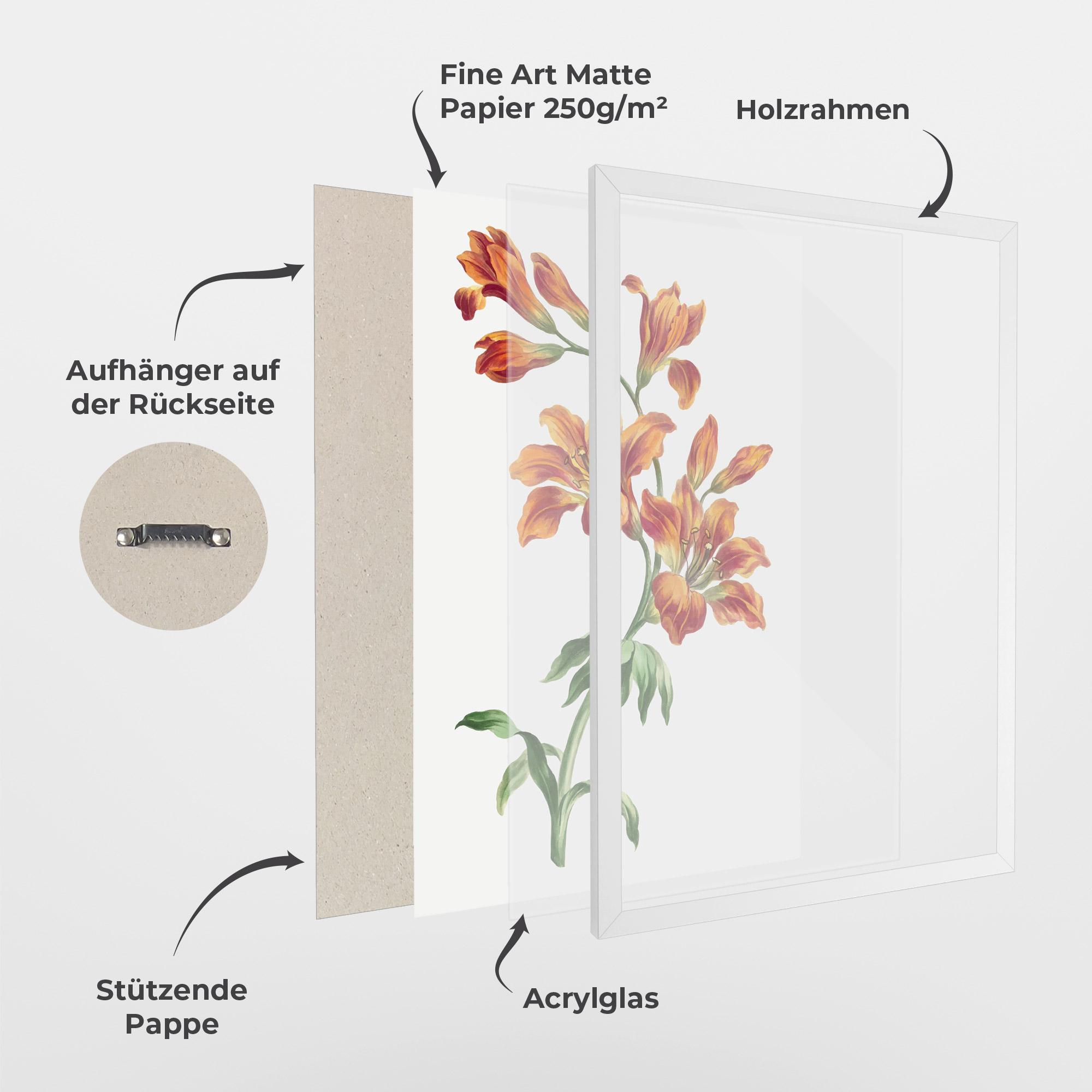 Gerahmte Poster Orange Painted Lily mockup 1